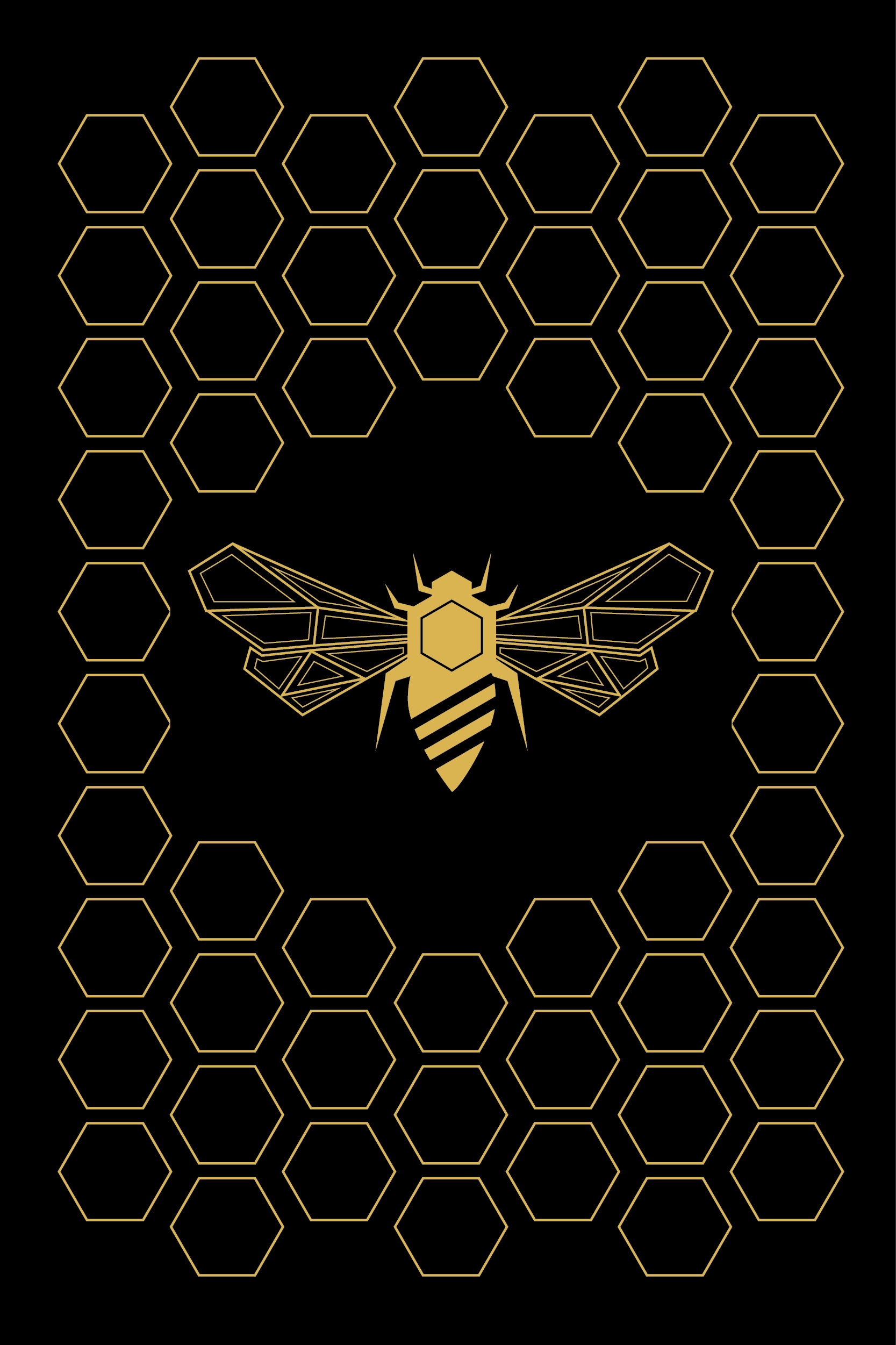 Bee: Apiculture, The maintenance of bee colonies, Honeycombs. 1670x2510 HD Background.