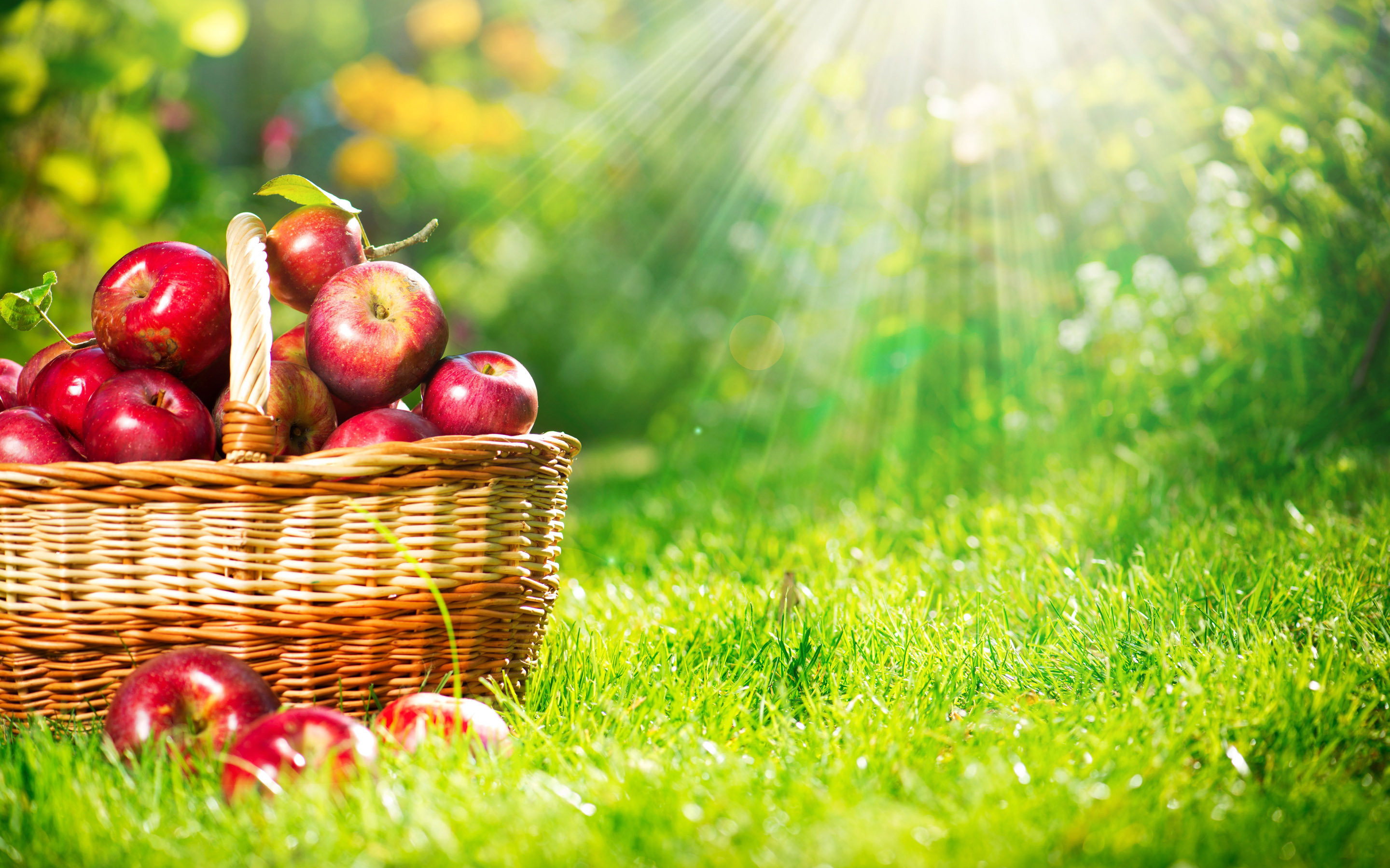 Apple (Fruit): A pome that matures in late summer or autumn. 2880x1800 HD Wallpaper.