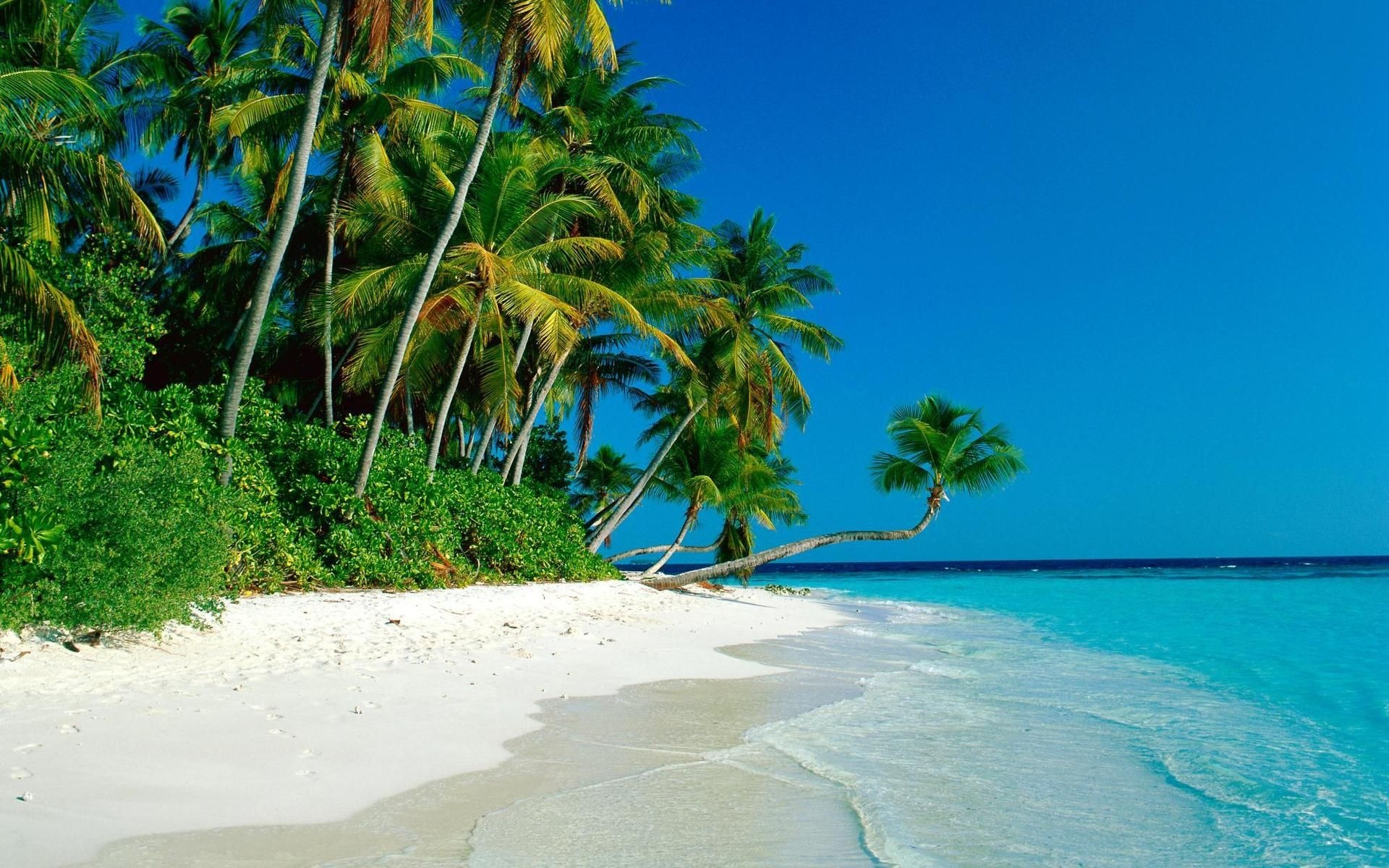 Tropical beach Cook Islands, Tropical landscape, Tropical paradise, Exotic beauty, 1920x1200 HD Desktop