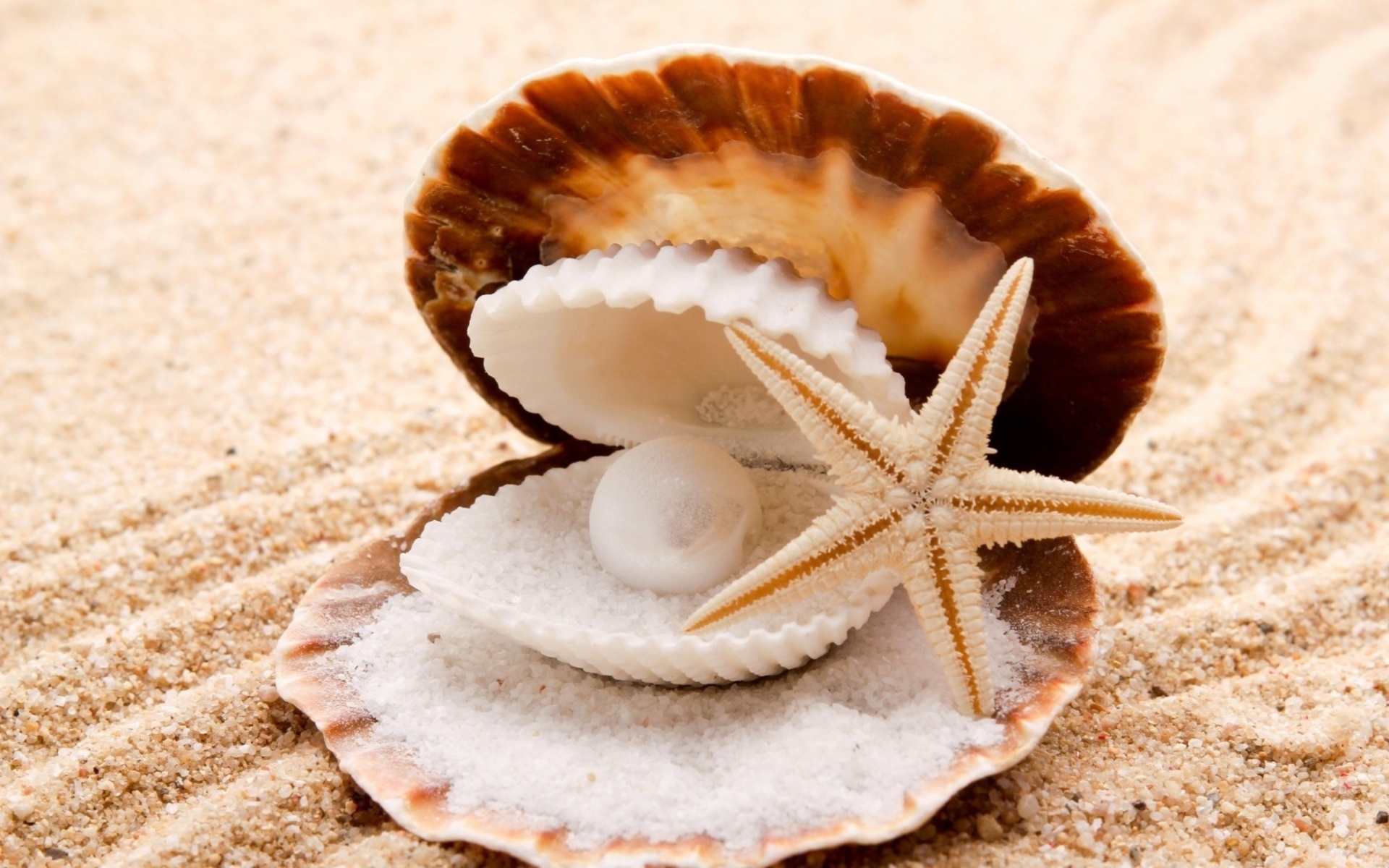 Pearl, Seashells, Starfish pearl sand beaches, 1920x1200 HD Desktop