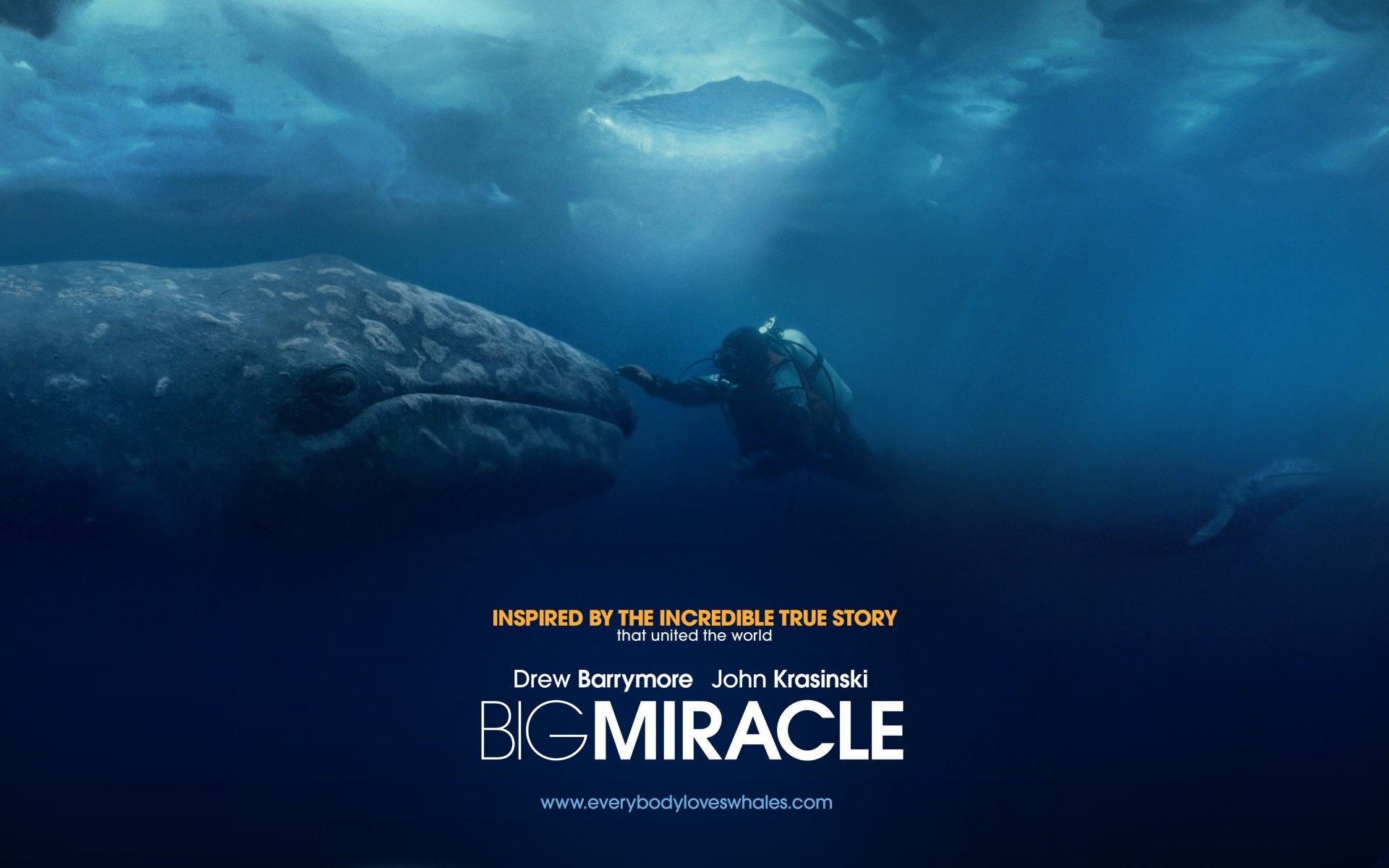 Big Miracle: The film covers 1988 Operation Breakthrough, Movie. 1920x1200 HD Wallpaper.