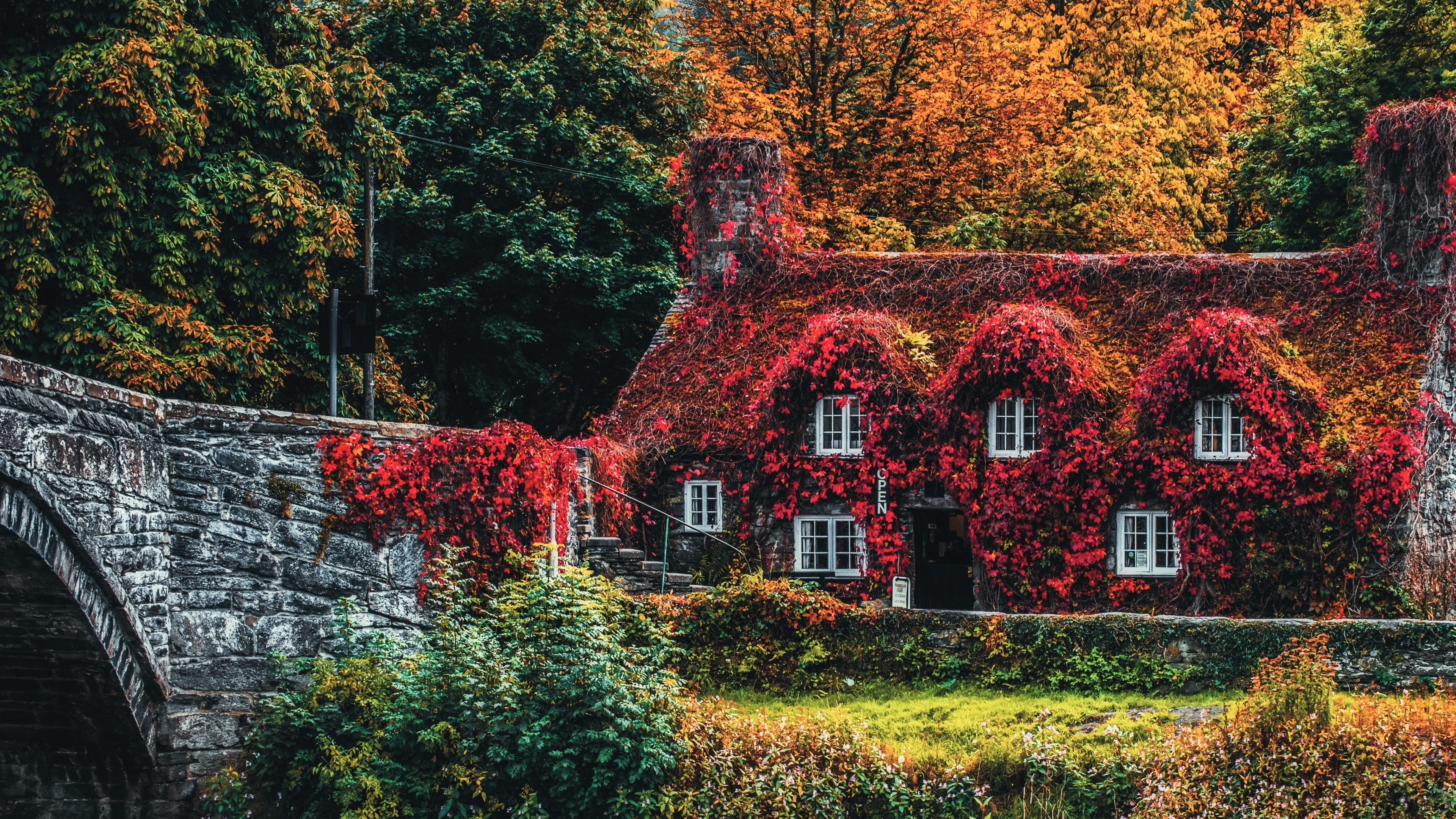 Autumn vibes, Ivy-covered house, 4K wallpaper, Serene ambiance, 3840x2160 4K Desktop