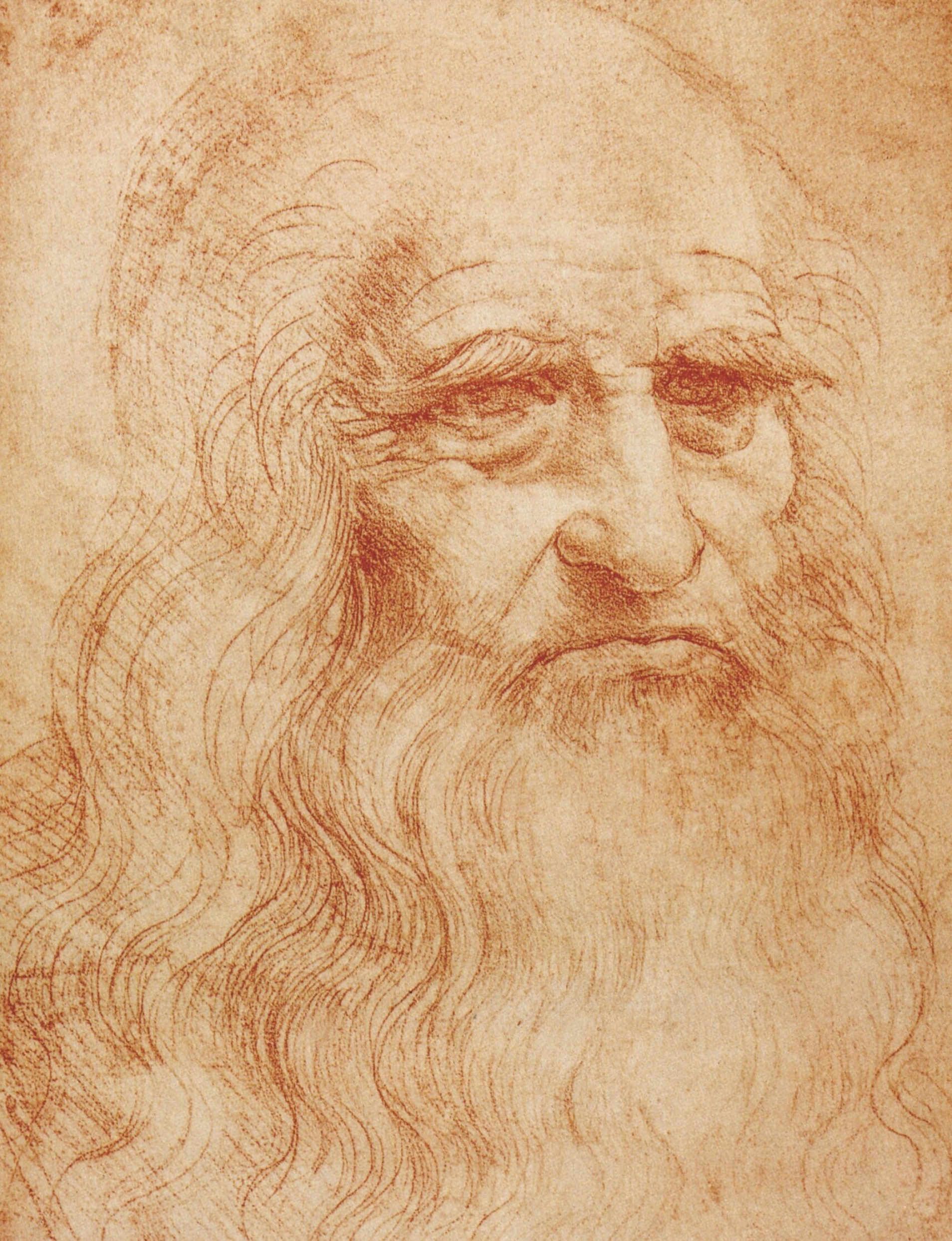 Self-portrait, Leonardo da Vinci Wallpaper, 1910x2490 HD Handy