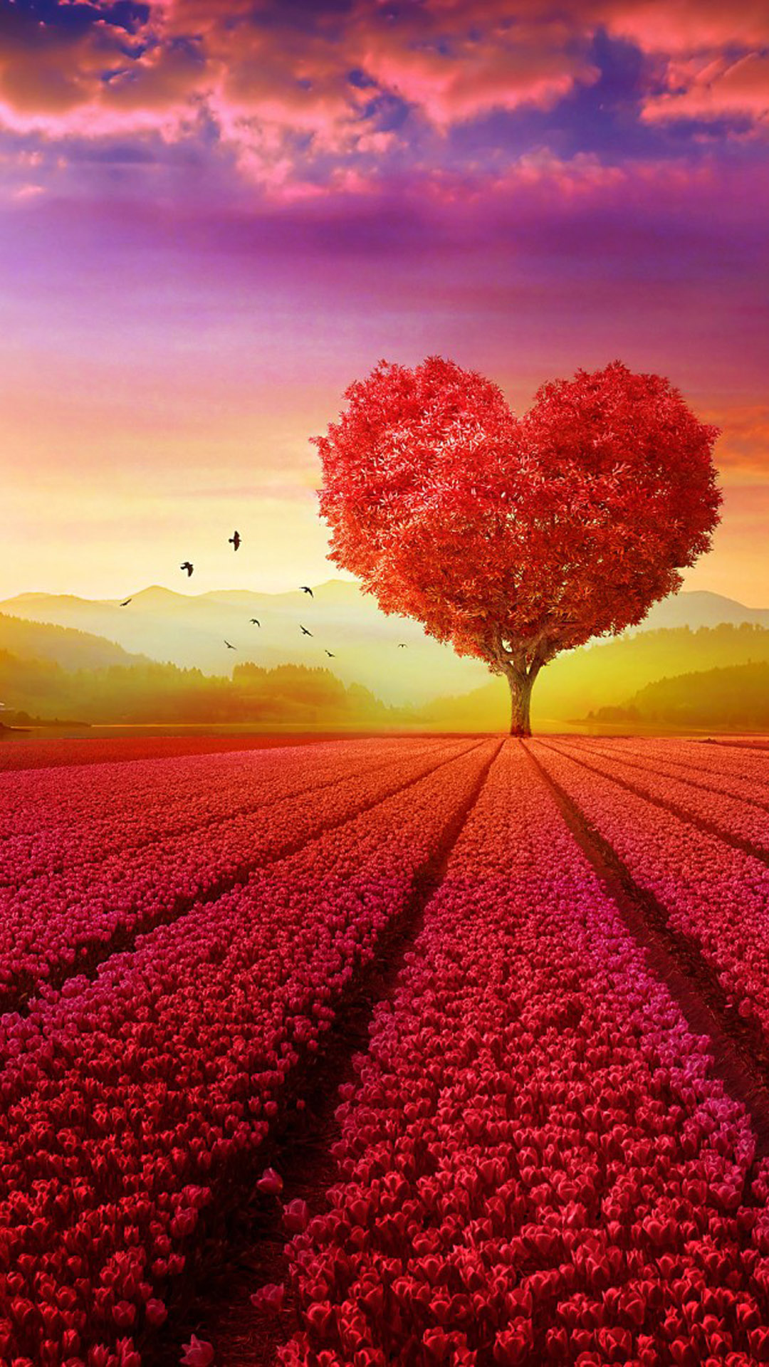 Heart Shape, Love, Flowers, 4K, 1080x1920 Full HD Phone