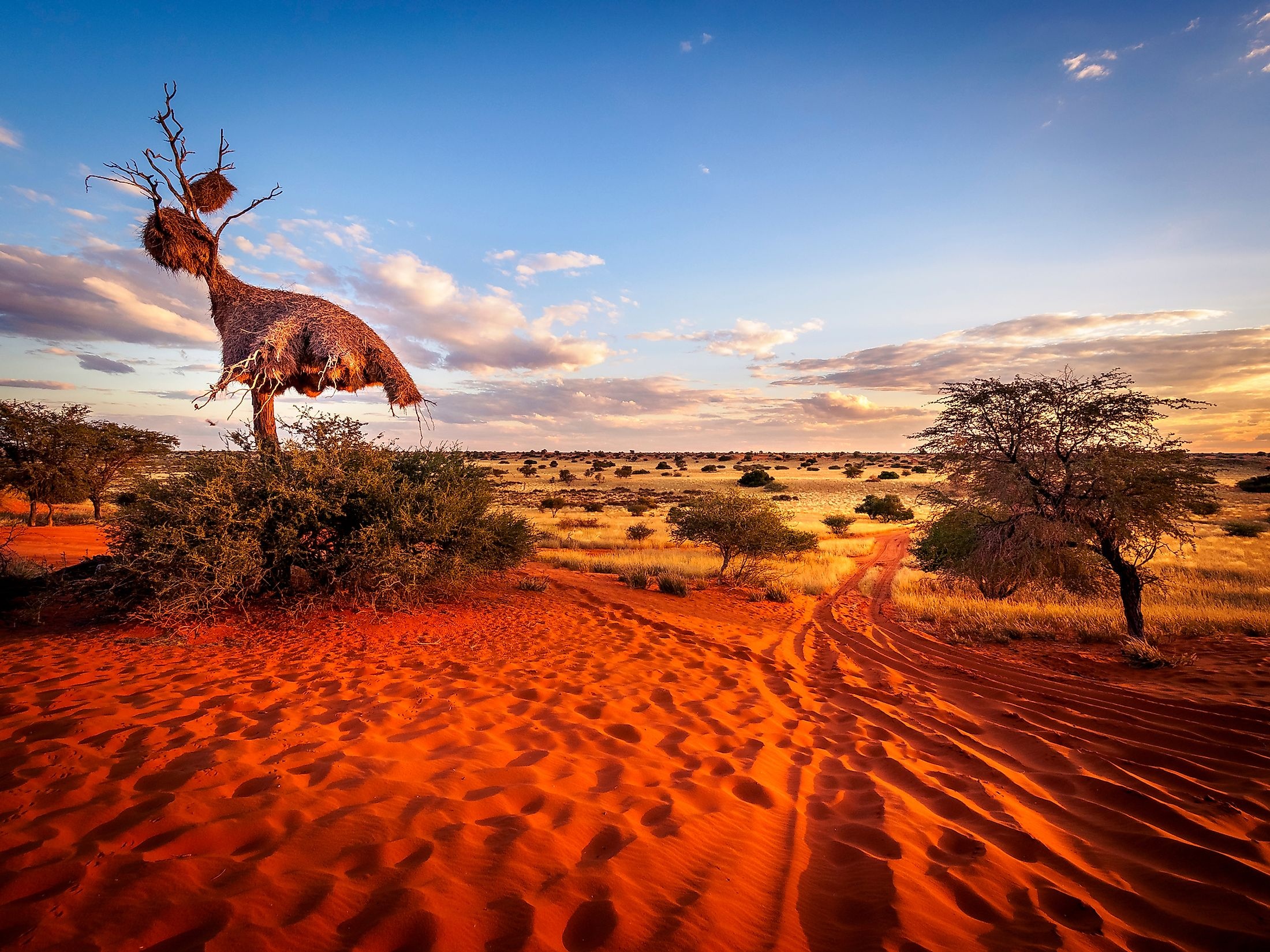 Kalahari Desert exploration, Desert wildlife, Unique landscapes, Local tribes, 2200x1650 HD Desktop