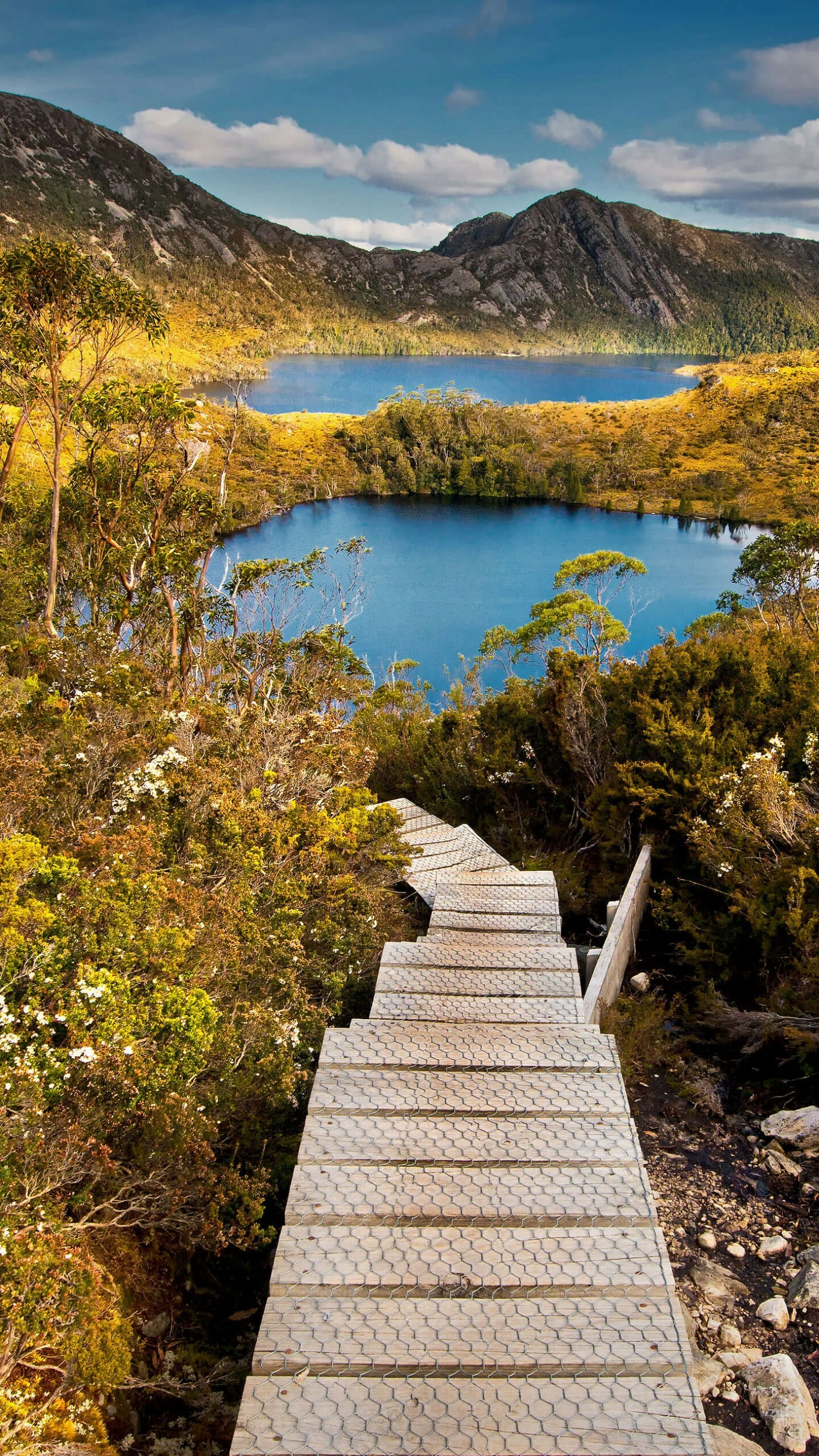 Australia: Cradle Mountain-Lake St Clair National Par, Tasmania, Central Highlands. 1440x2560 HD Background.