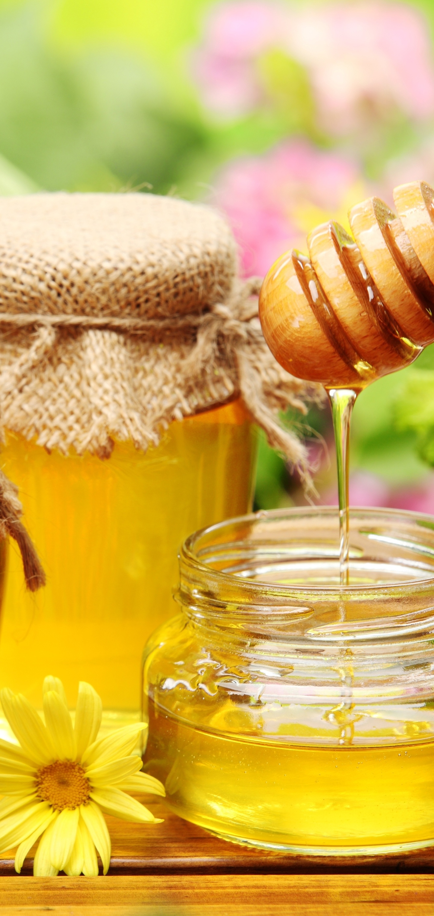 Honey: Used in cooking, baking, desserts, as a spread on bread, as an addition to various beverages such as tea, and as a sweetener in some commercial beverages. 1440x3040 HD Wallpaper.
