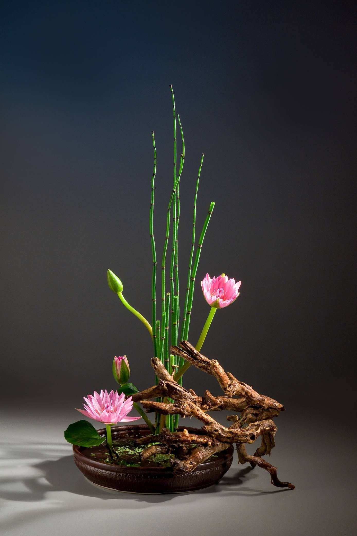 Ikebana, Flower arrangement, Art of Japan, Sogetsu ikebana, 1390x2090 HD Handy