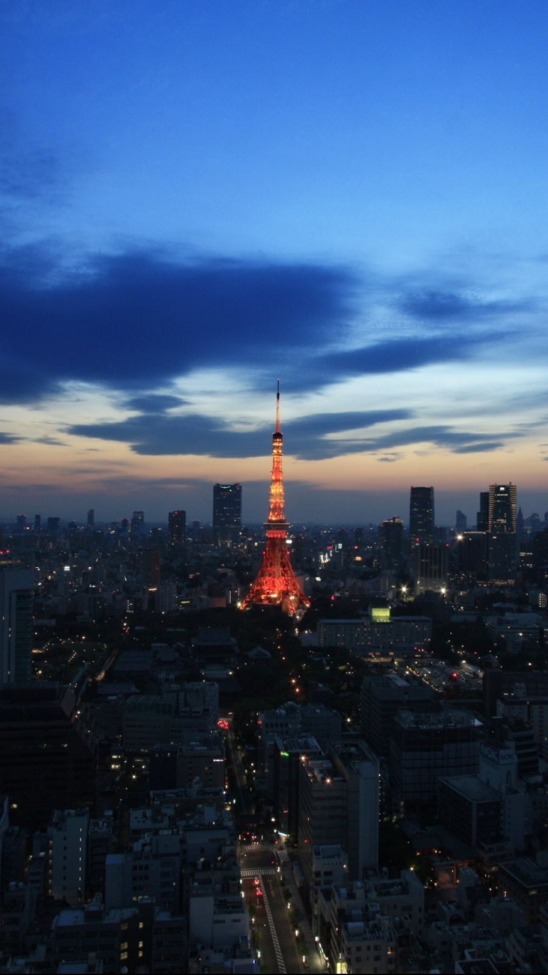Tokyo Skyline, Man made tower, Architectural marvel, Urban panorama, 1080x1920 Full HD Handy