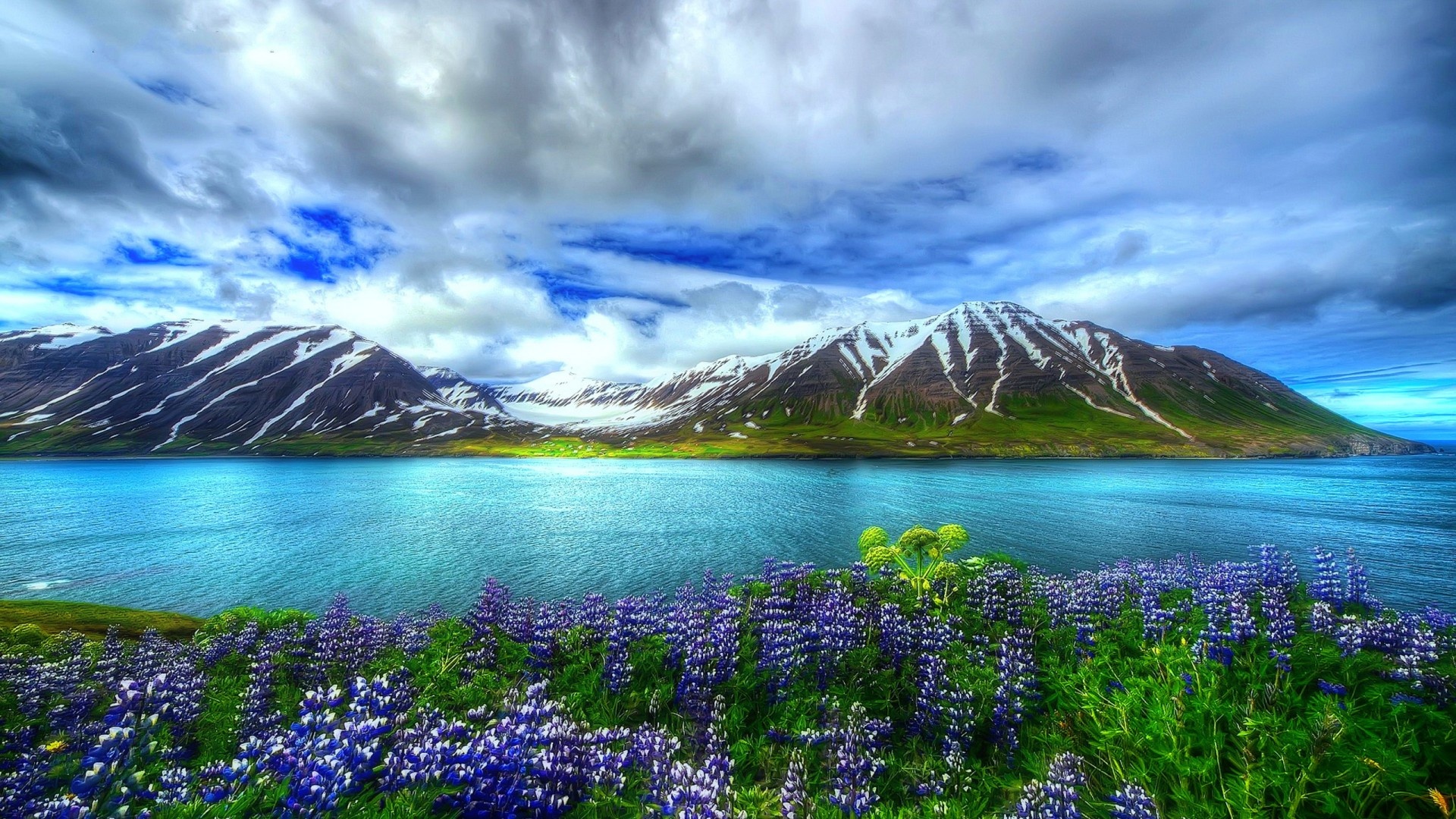 Mountain lake surrounded by beautiful bluebonnets, 1920x1080 Full HD Desktop