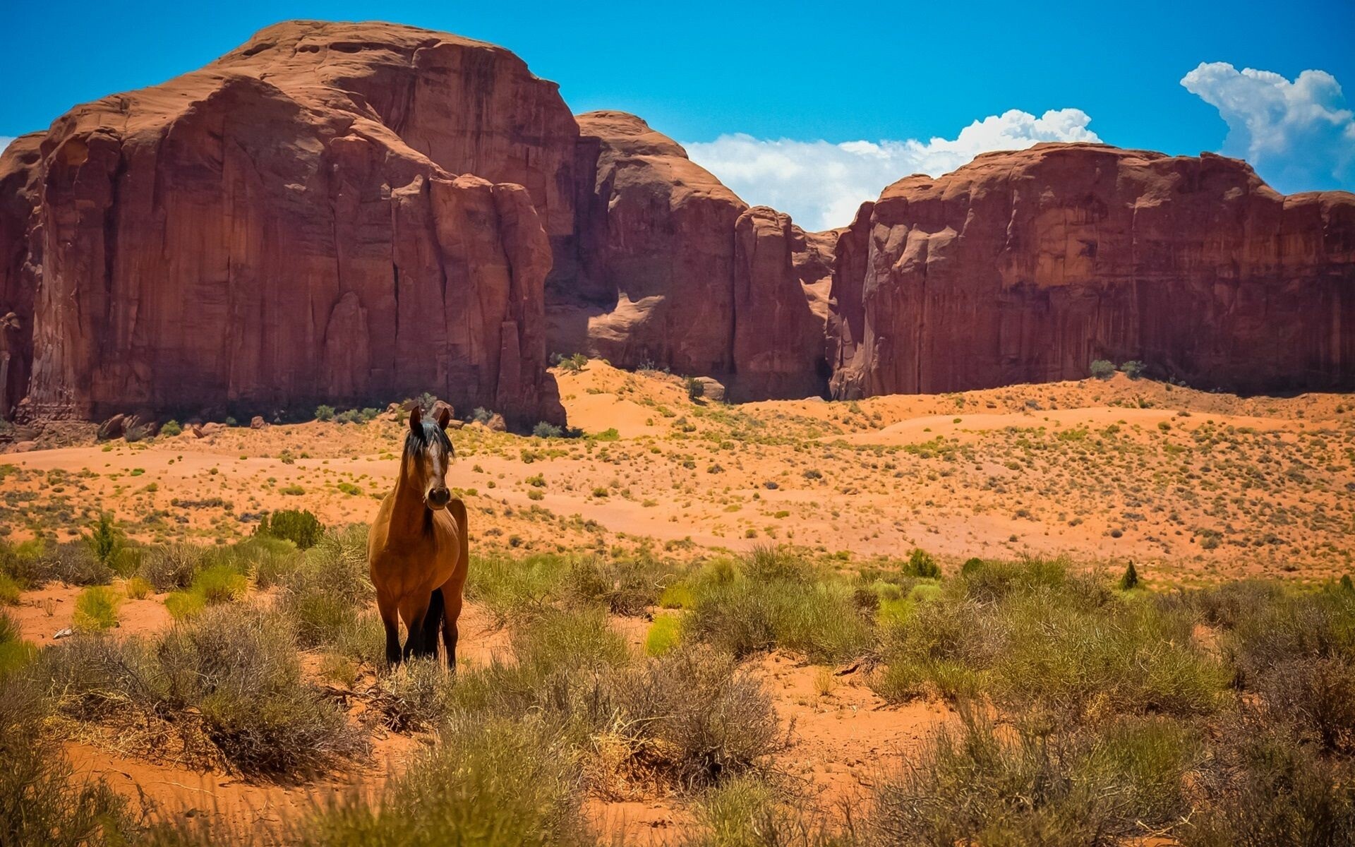 Arizona desert, PC and mobile, Free download, iPhone Android, 1920x1200 HD Desktop