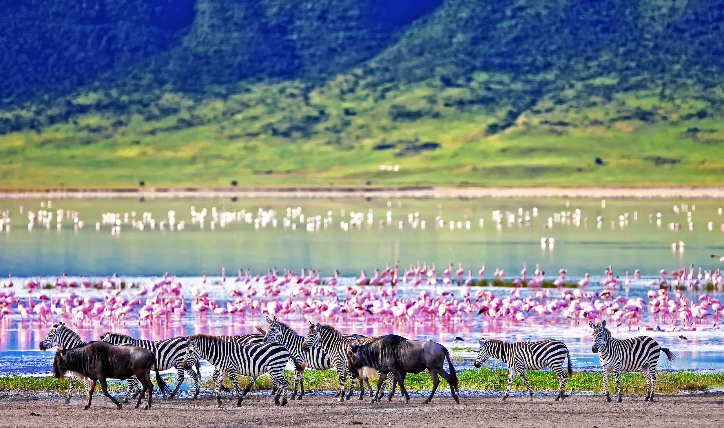 Ngorongoro Crater, What to see in Tanzania, 2500x1480 HD Desktop
