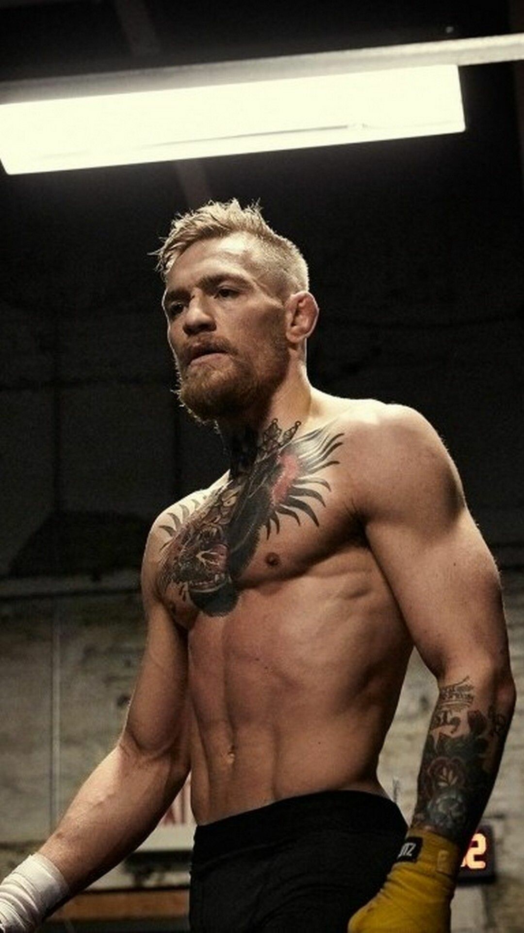 Conor McGregor: Received the UFC Knockout of the Night award for the bout against Marcus Brimage. 1080x1920 Full HD Wallpaper.