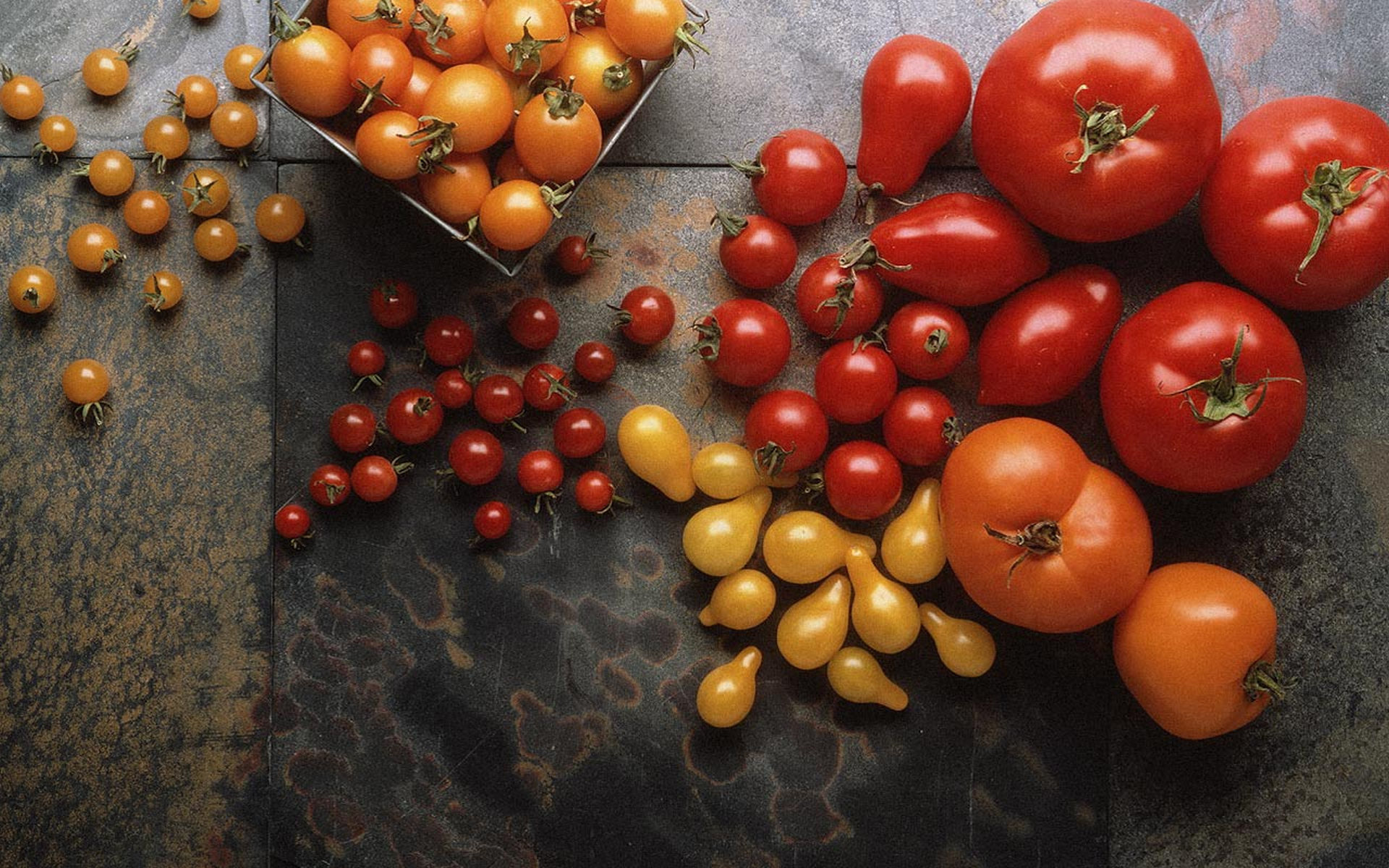 Tomato wallpapers, Captivating pictures, Striking images, Visual appeal, 1920x1200 HD Desktop