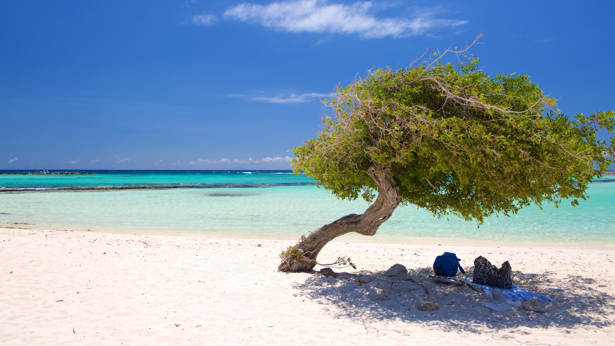 Aruba Island, Best of Aruba, Caribbean travel, Unforgettable experiences, 2560x1440 HD Desktop