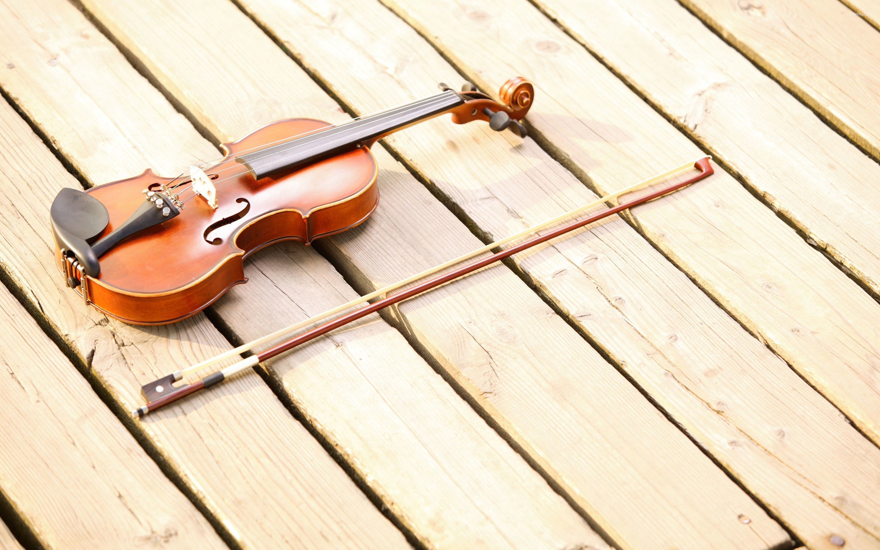 Violin: Scroll, Pegbox Fingerboard, Bridge Tailpiece, Spruce Top, Music, Strings. 2880x1800 HD Background.