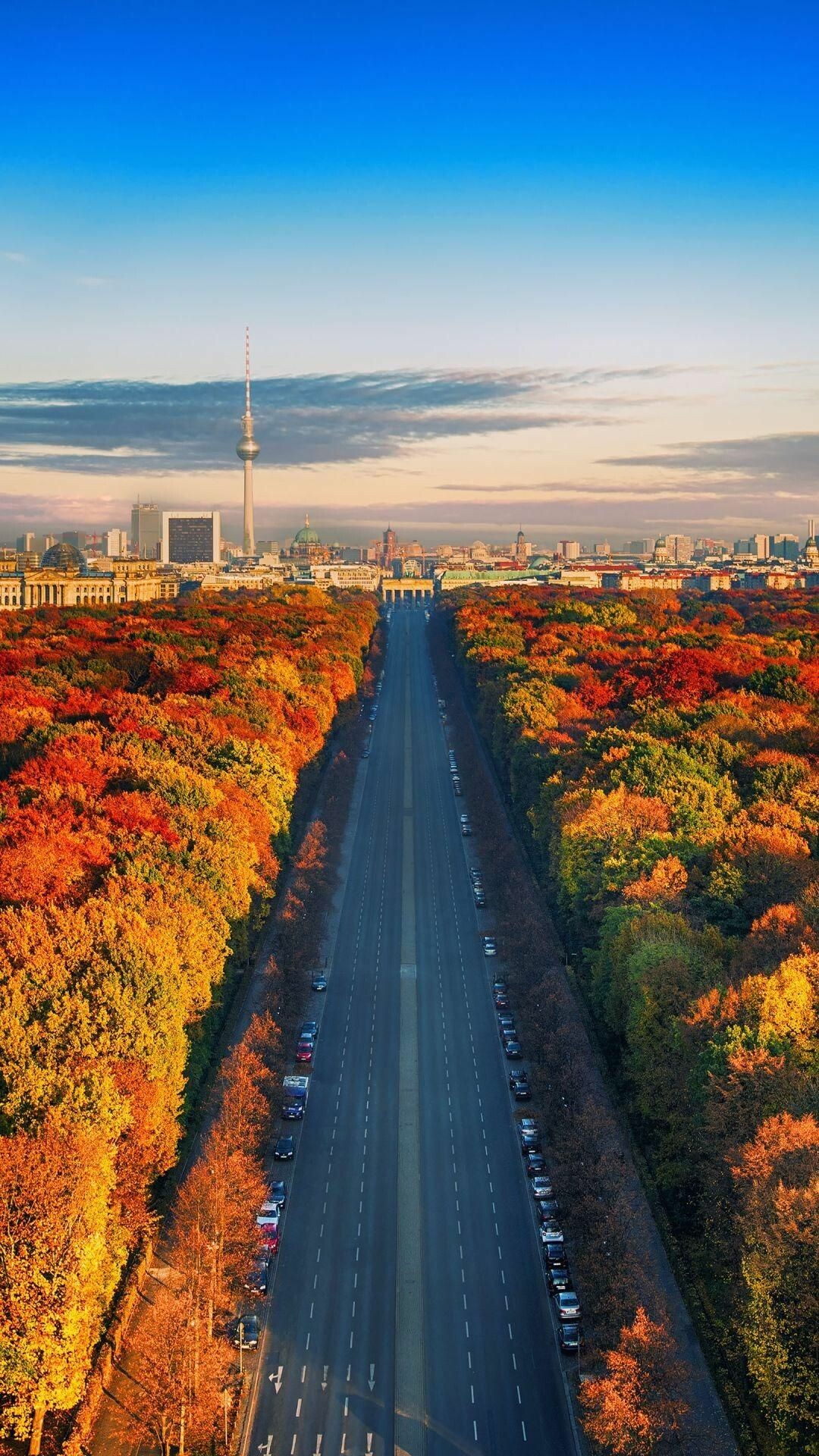 Autumn: A catabolic process of foliage senescence, Fall in the city. 1080x1920 Full HD Wallpaper.