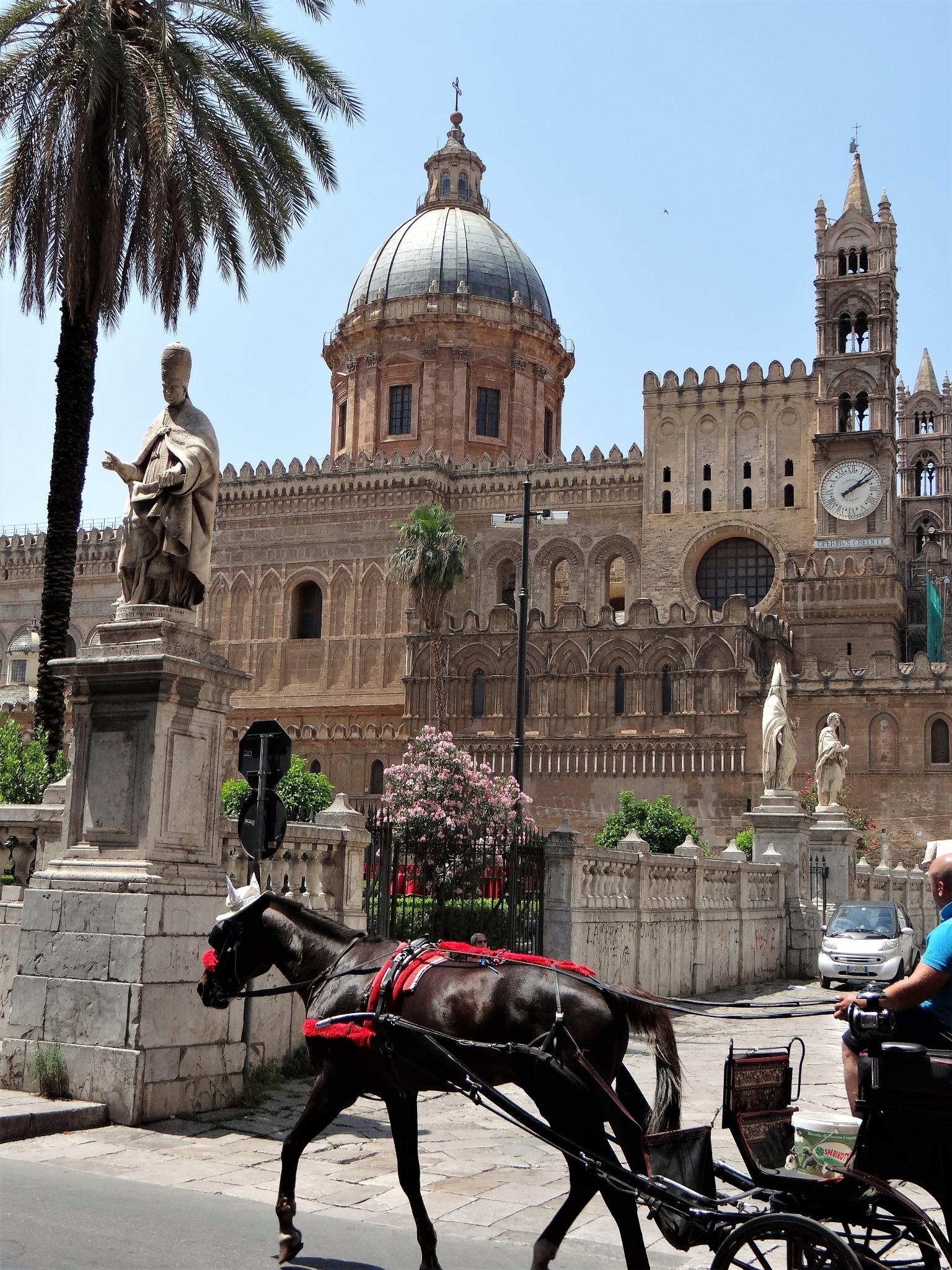 Stadtrundgnge in Palermo, Eigene Faust entdecken, Outdooractive, Travels, 1540x2050 HD Handy