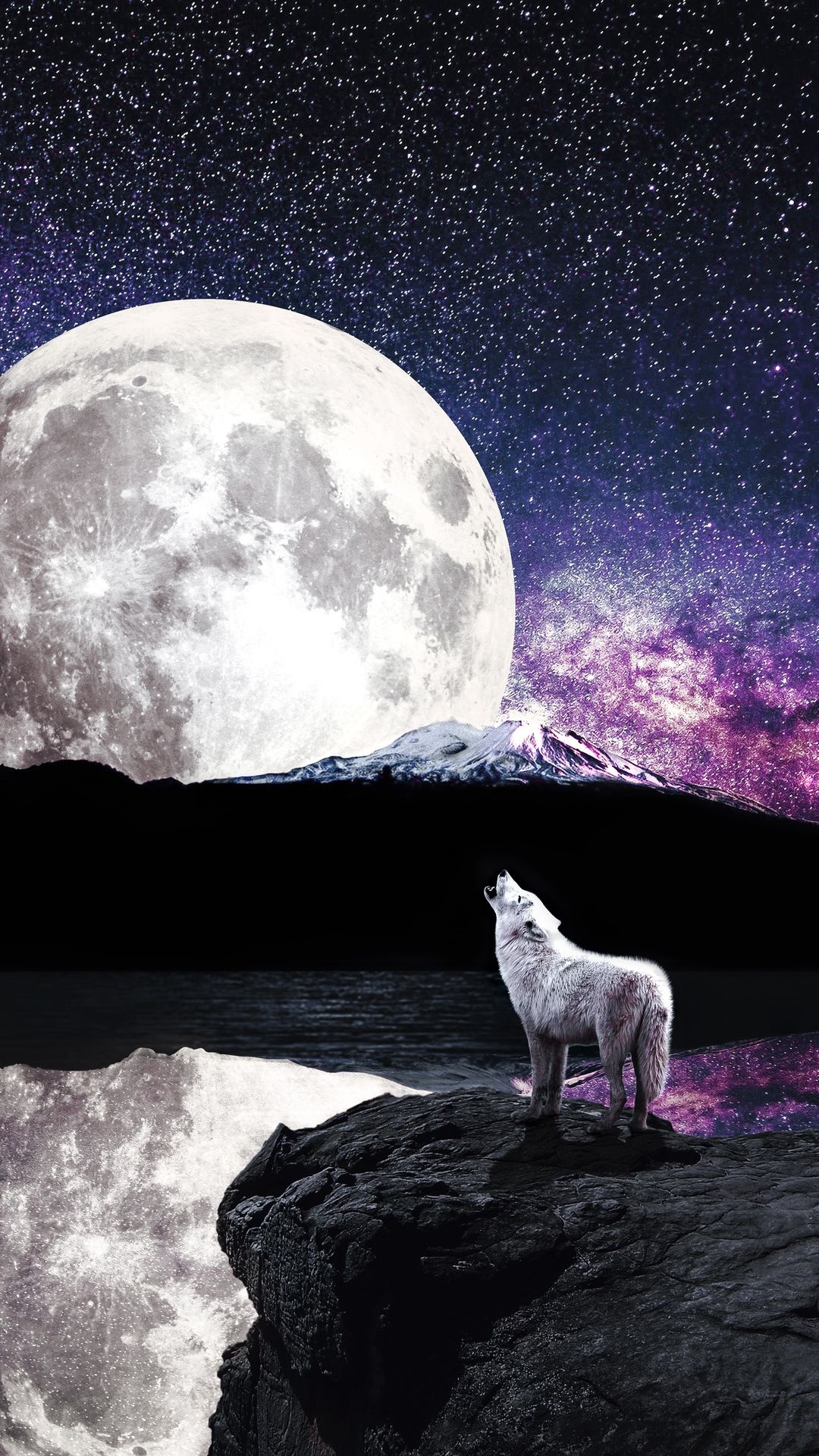 Majestic wolf by the river, Striking wallpaper, High-resolution image, Download for free, 1080x1920 Full HD Phone