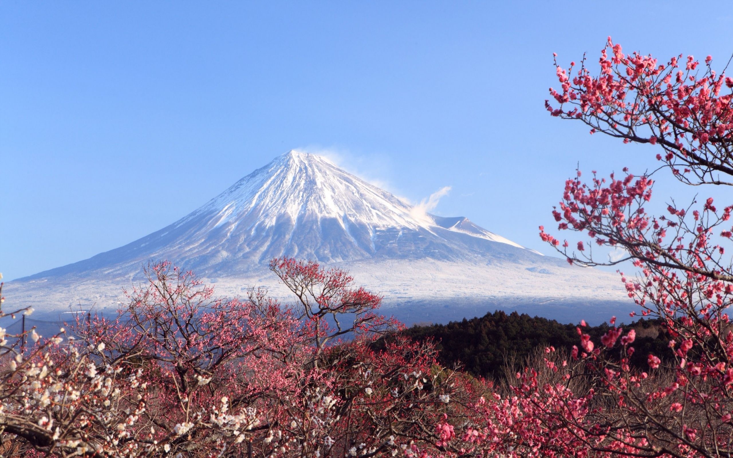 Mount Fuji, Travels, MT Fuji Desktop, Stunning, 2560x1600 HD Desktop