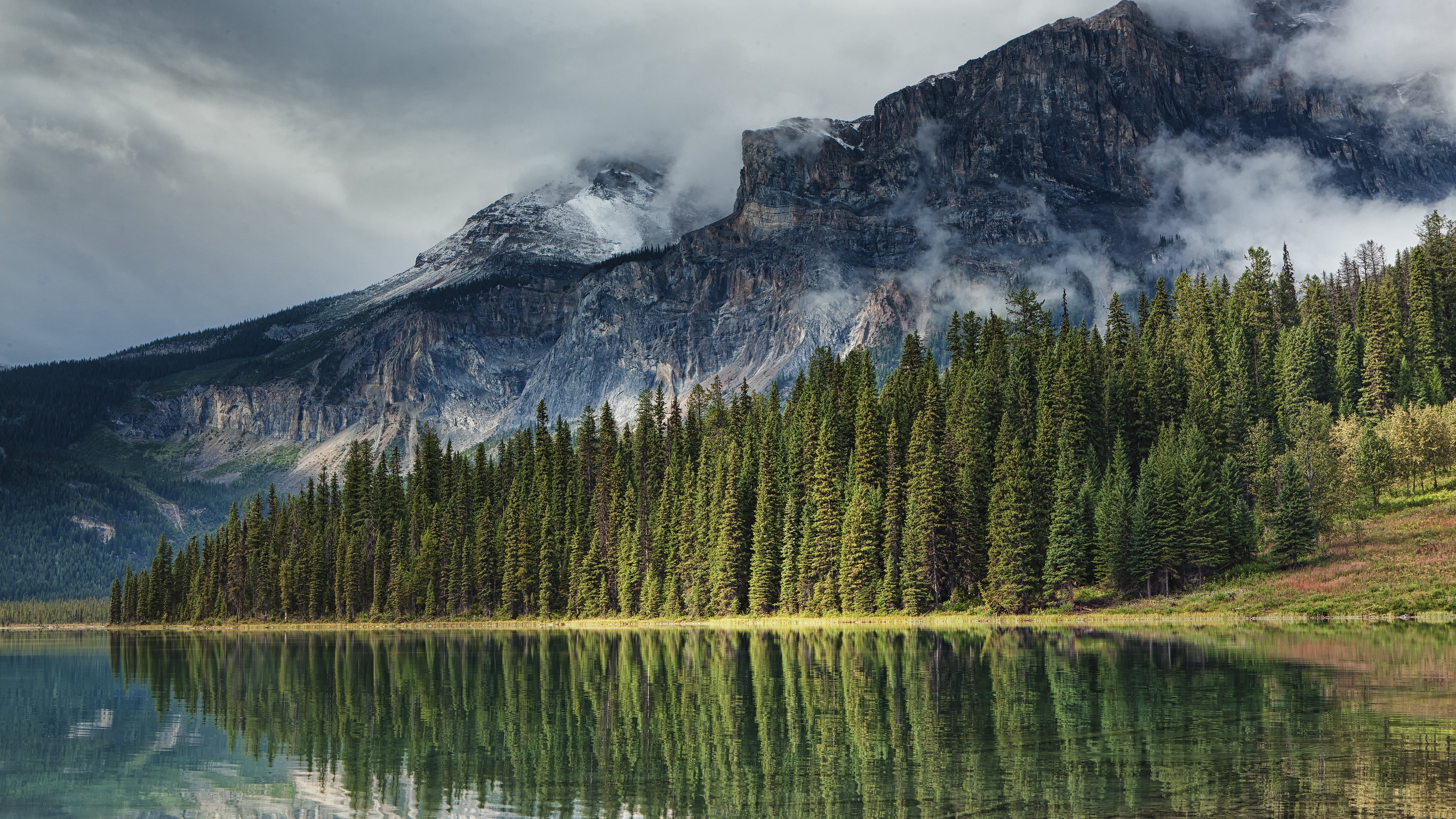 Rocky Mountain National Park, Fir tree wallpapers, Hintergrnde, 3840x2160 4K Desktop
