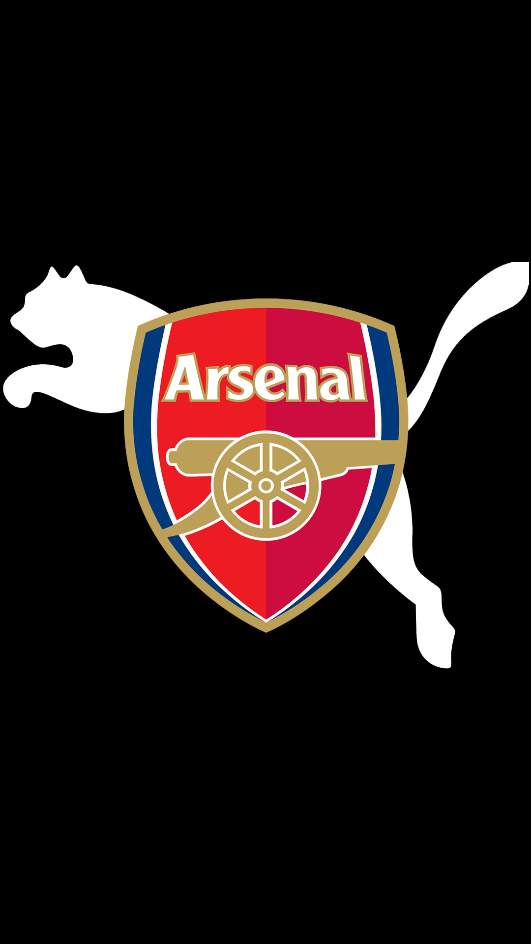 Arsenal FC, Logo HD, Mobile wallpaper, Team symbol, 1080x1920 Full HD Phone