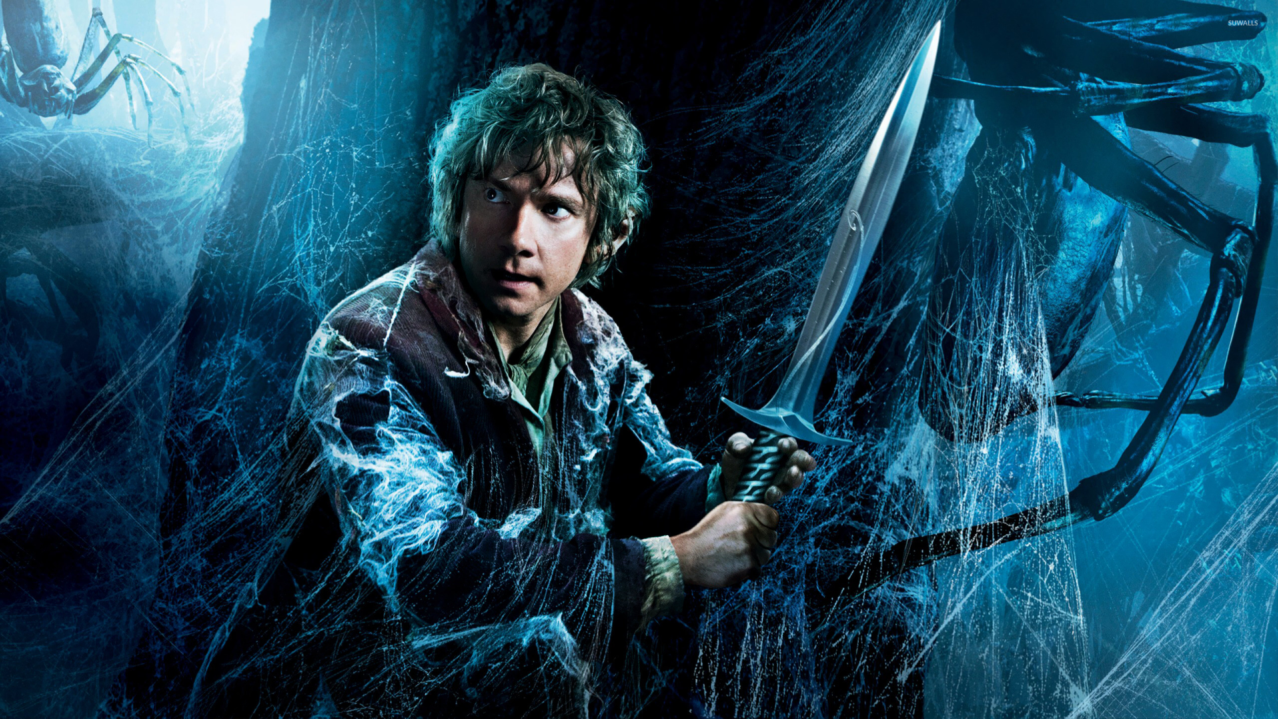 The Hobbit: The Desolation of Smaug, Bilbo, A secondary character in The Lord of the Rings. 2560x1440 HD Wallpaper.