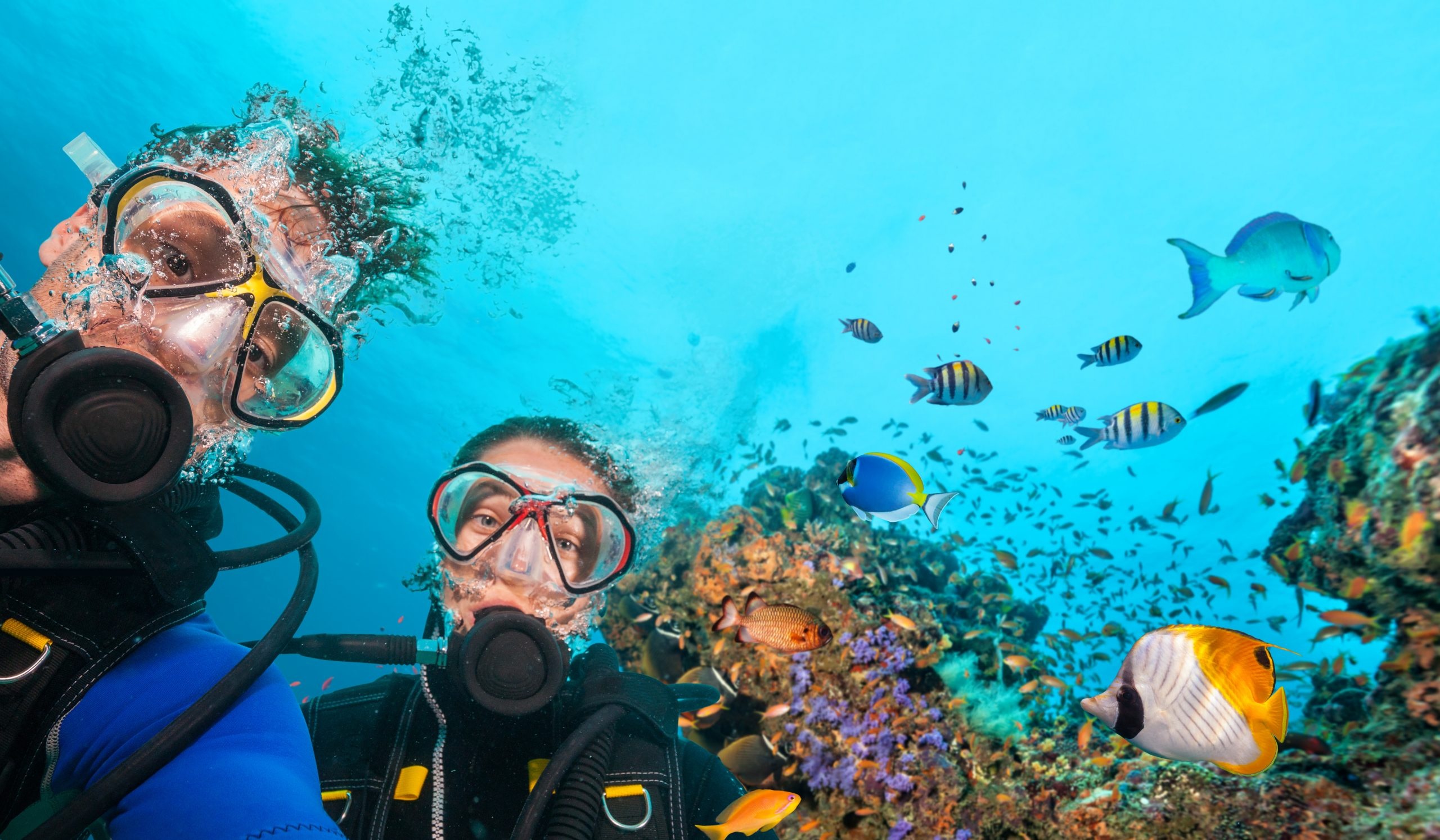 Diving: A couple near the coral reef, Recreational underwater activity. 2560x1500 HD Background.
