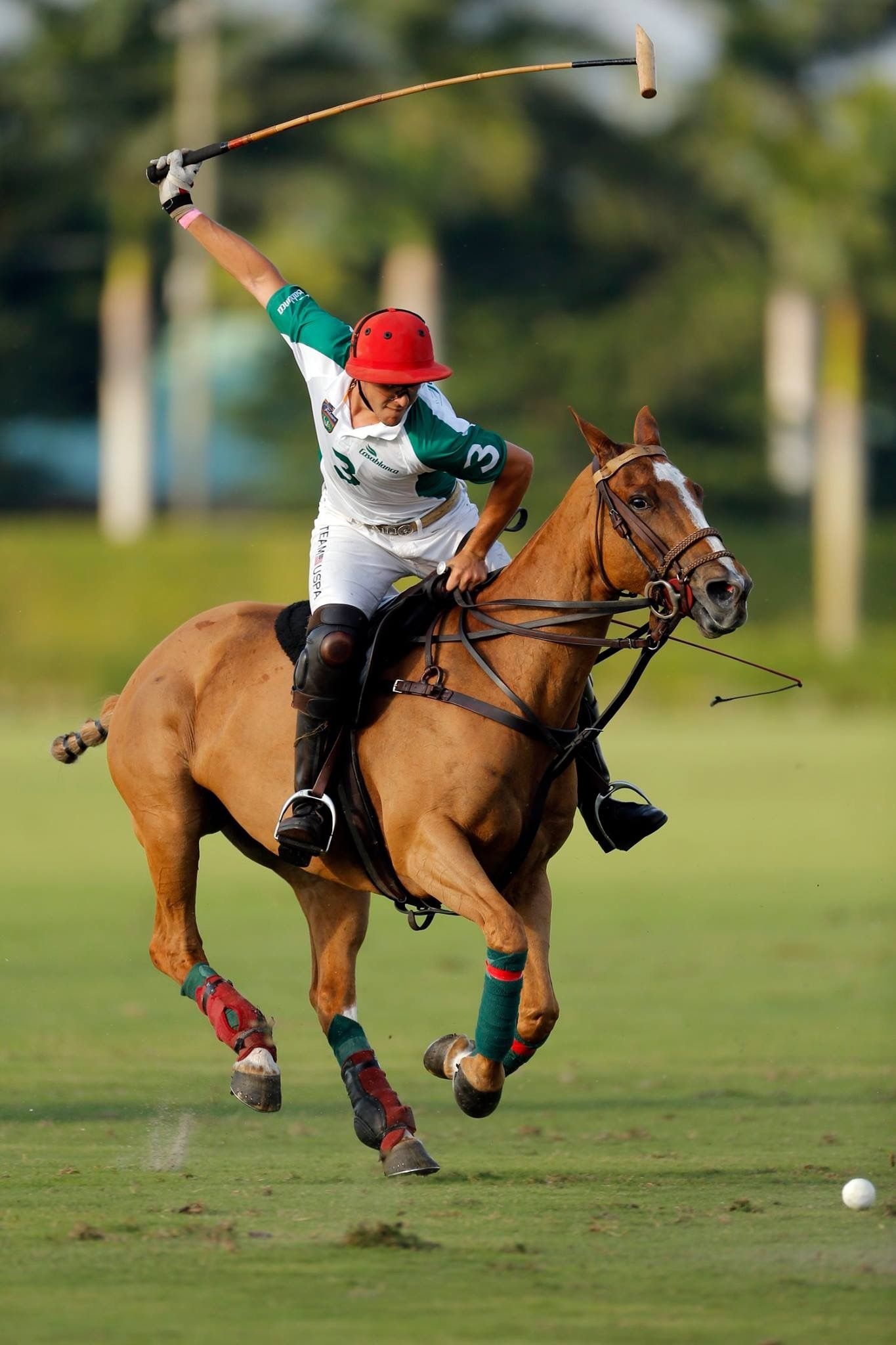 Horse Polo: A player riding a horse and holding a mallet, Action equestrian sports. 1370x2050 HD Background.
