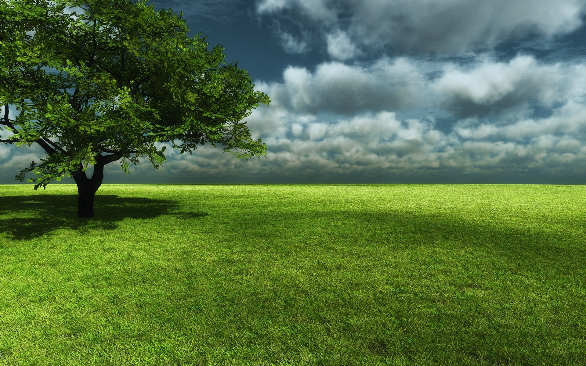 Grassland: Scenery, Country setting, Natural surroundings, Green terrain, Skyline. 1920x1200 HD Background.