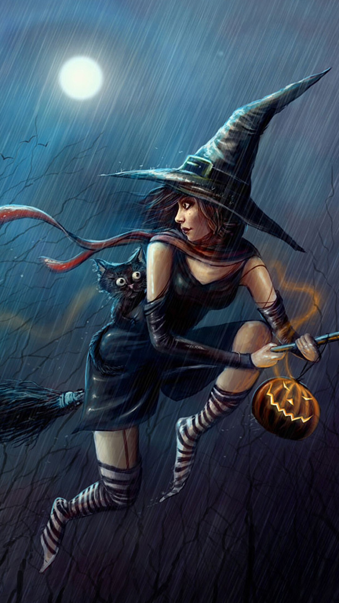 Witch: Fictional character, Pointed hat and flying on a broomstick. 1080x1920 Full HD Background.