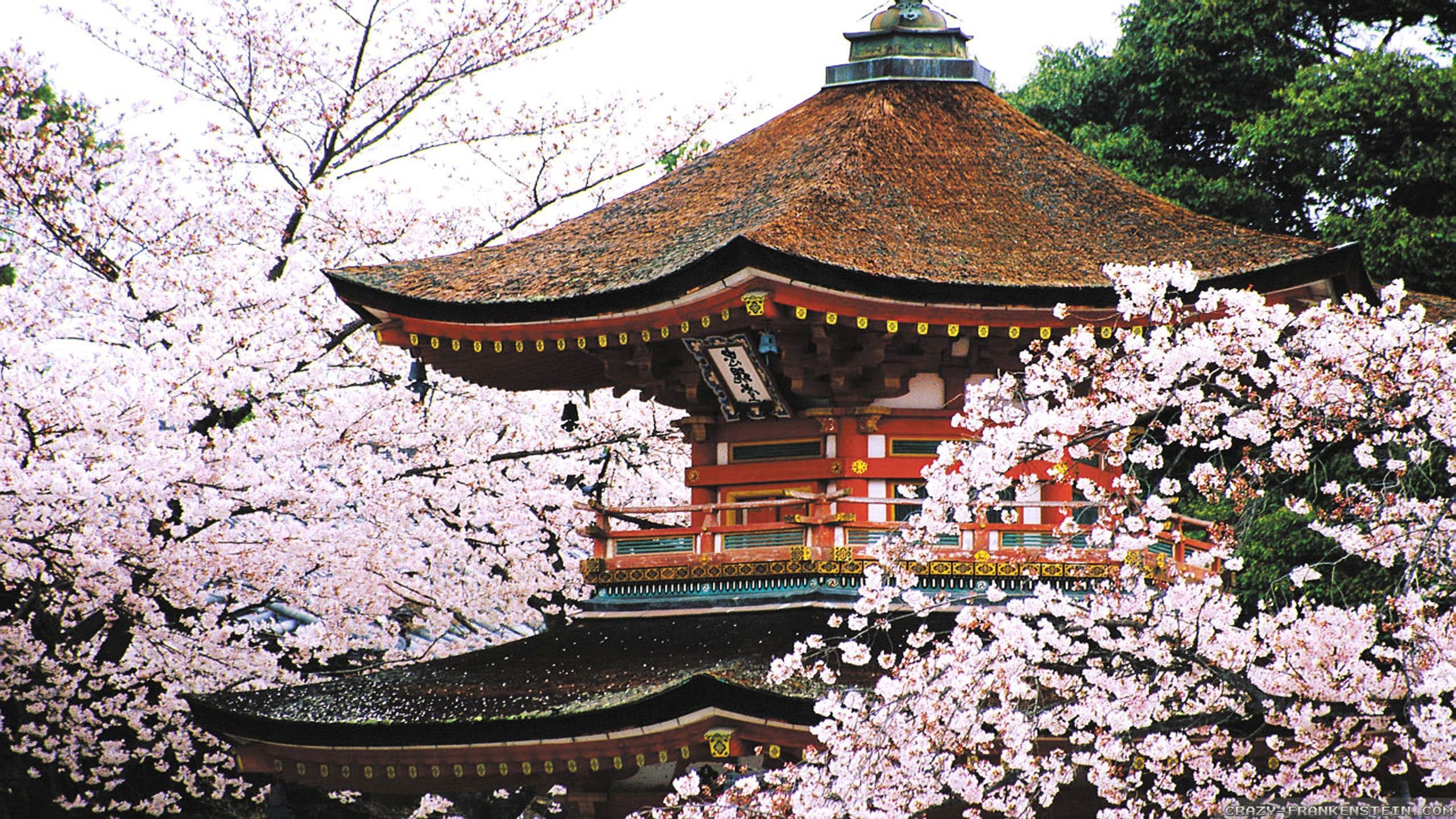 Kyoto Travels, Historical landmarks, Traditional culture, Serene beauty, 2560x1440 HD Desktop