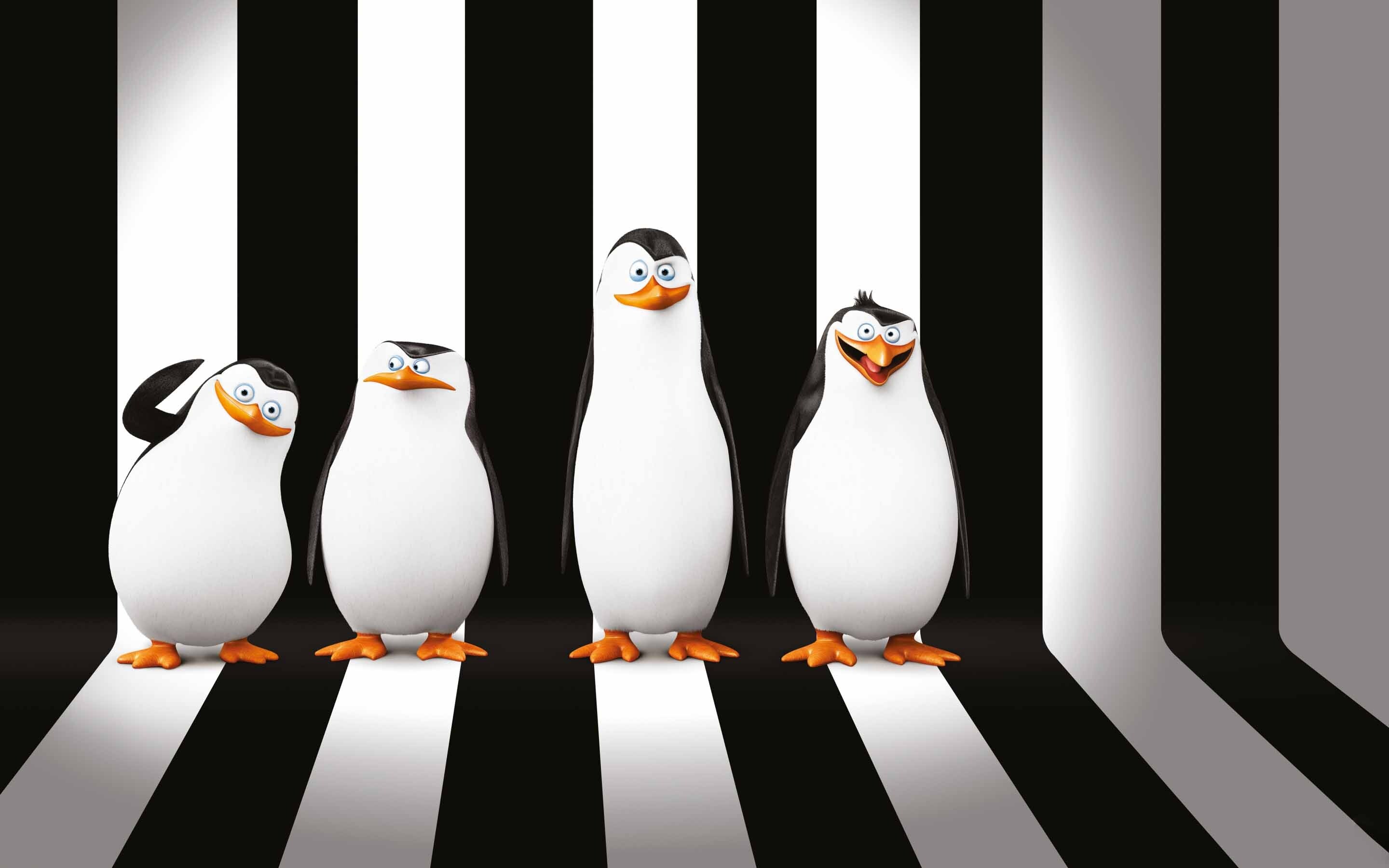 Madagascar (Movie): Penguins Of Madagascar, A 2014 American computer-animated spy action comedy film. 2880x1800 HD Wallpaper.