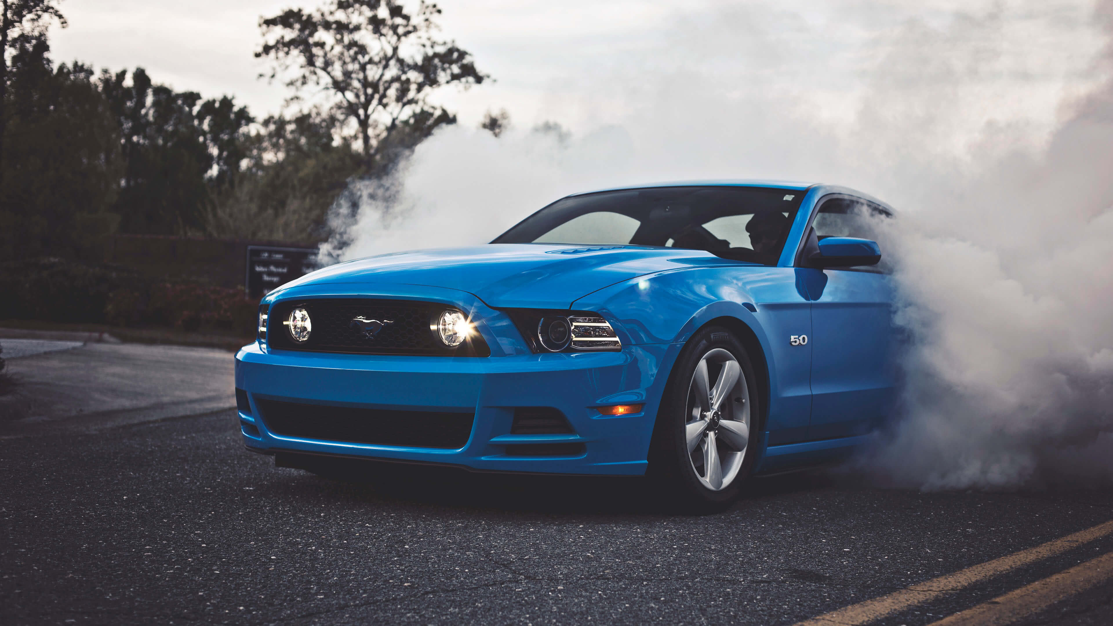 Blue Ford Shelby, Glossy finish, High-speed beauty, Cobra emblem, Racing stripes, 3840x2160 4K Desktop
