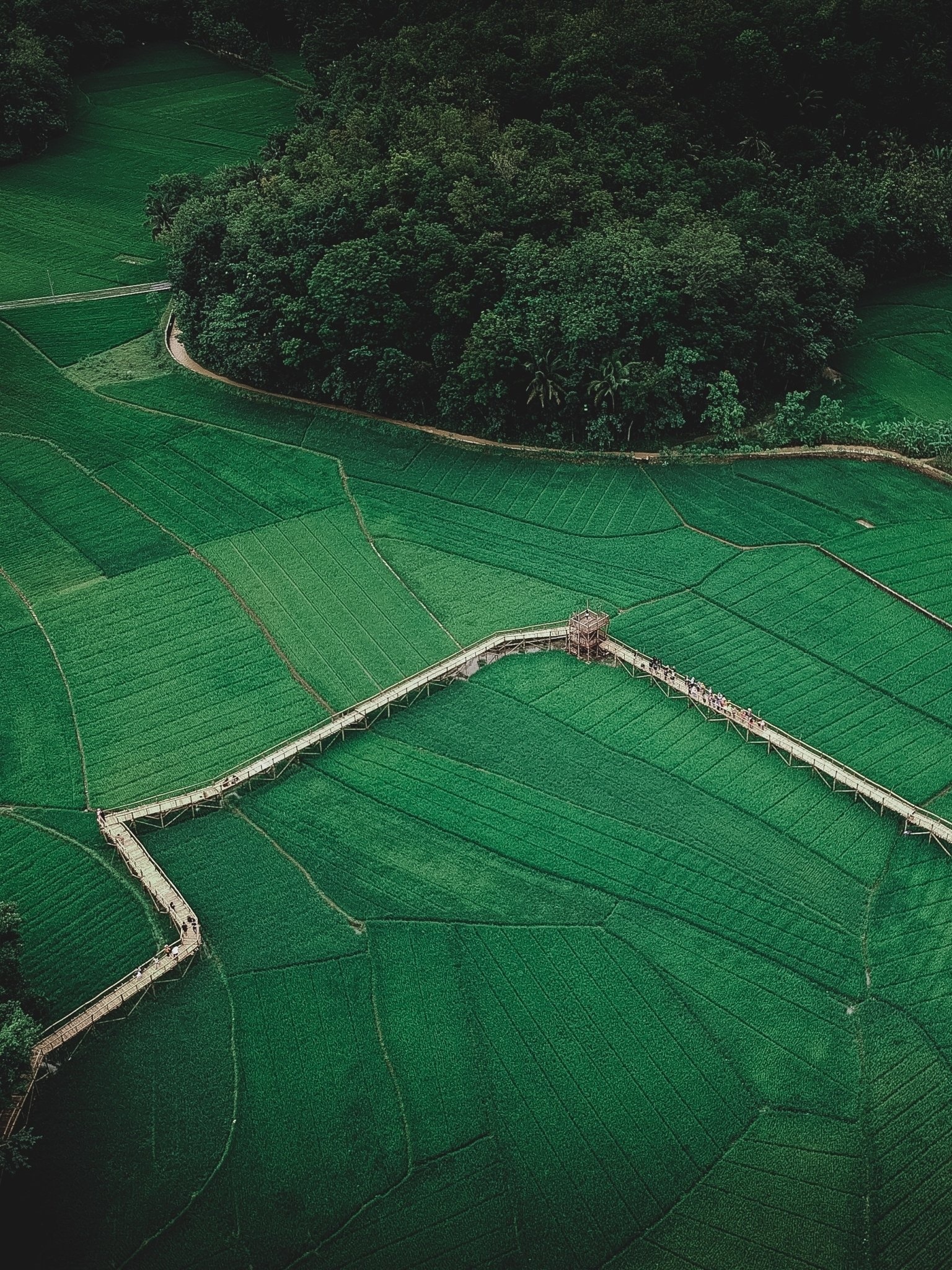 Farm: Agricultural land, Aerial view, Farming. 1540x2050 HD Wallpaper.