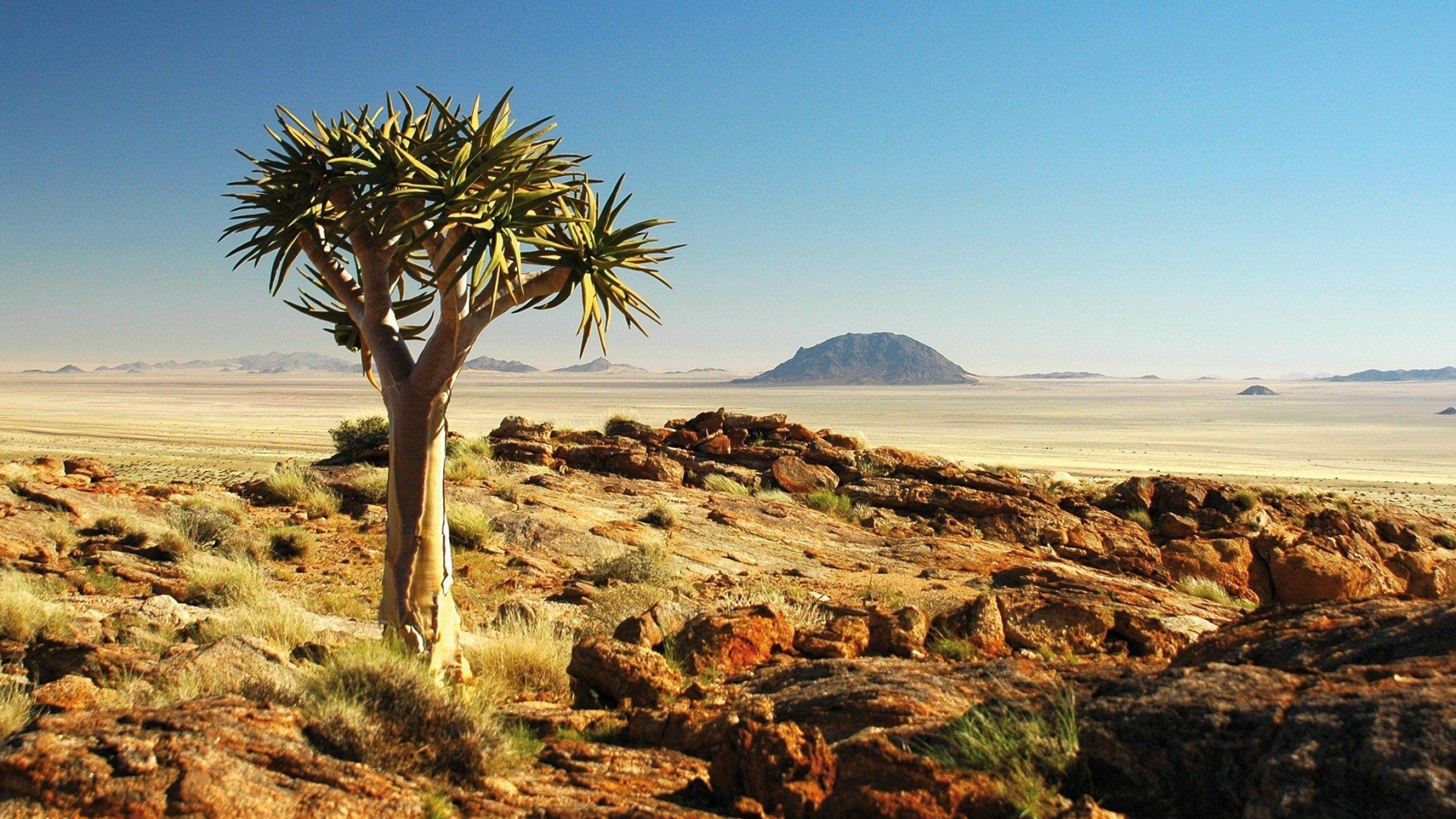 Kalahari Desert wallpapers, Africa, Desert, Travels, 2560x1440 HD Desktop