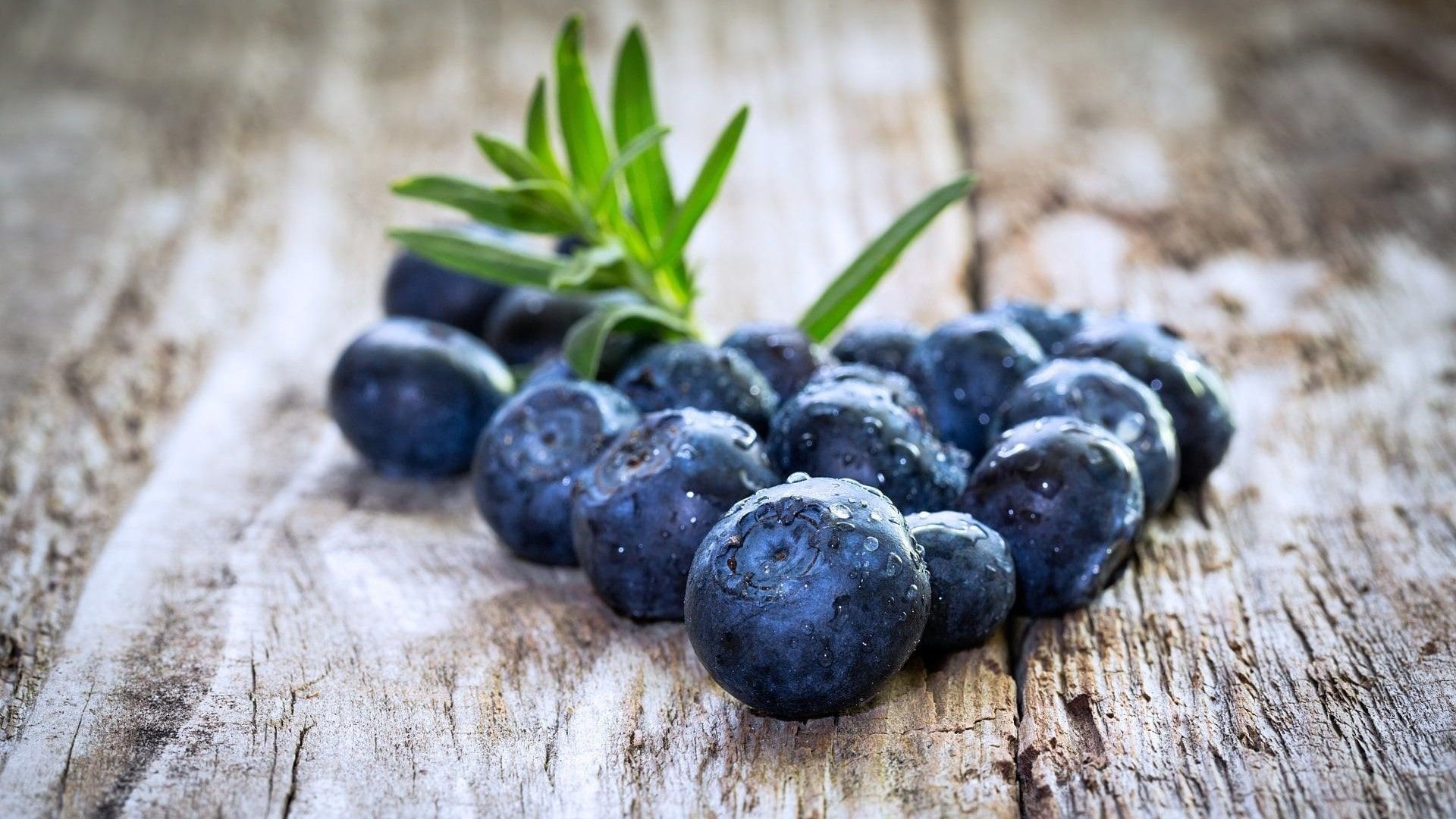 Huckleberry: Blueberries grow only in highly acidic and well-drained but moist soils. 1920x1080 Full HD Wallpaper.