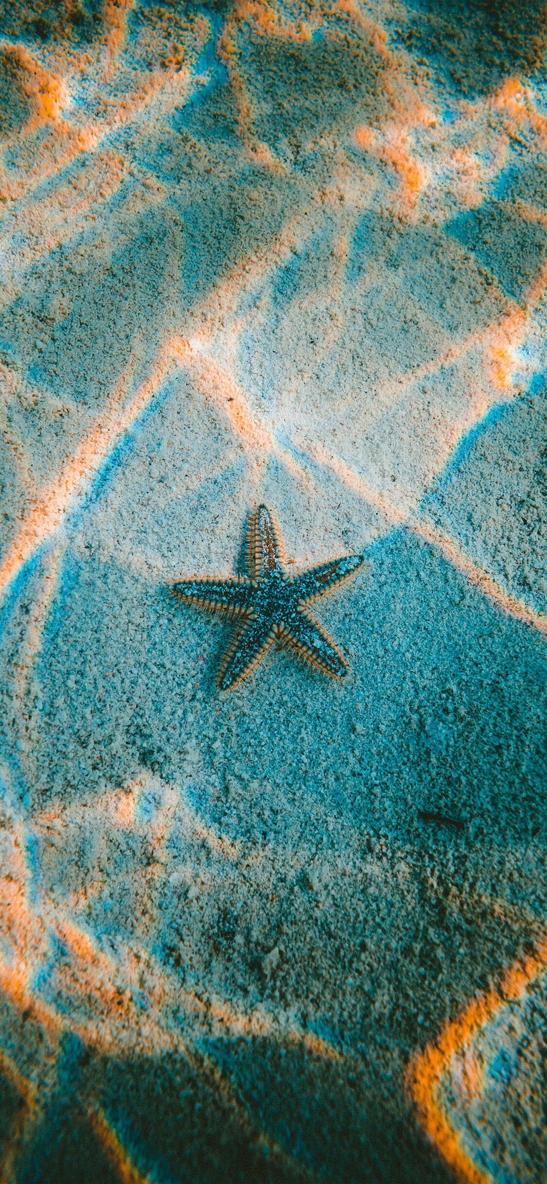 Starfish: nu23-starfish-sea-beach-nature via http://iPhoneXpapers.com - Wallpapers  for iPhone X | Nature wallpaper, Ocean wallpaper, Beautiful wallpapers. 1130x2440 HD Wallpaper.