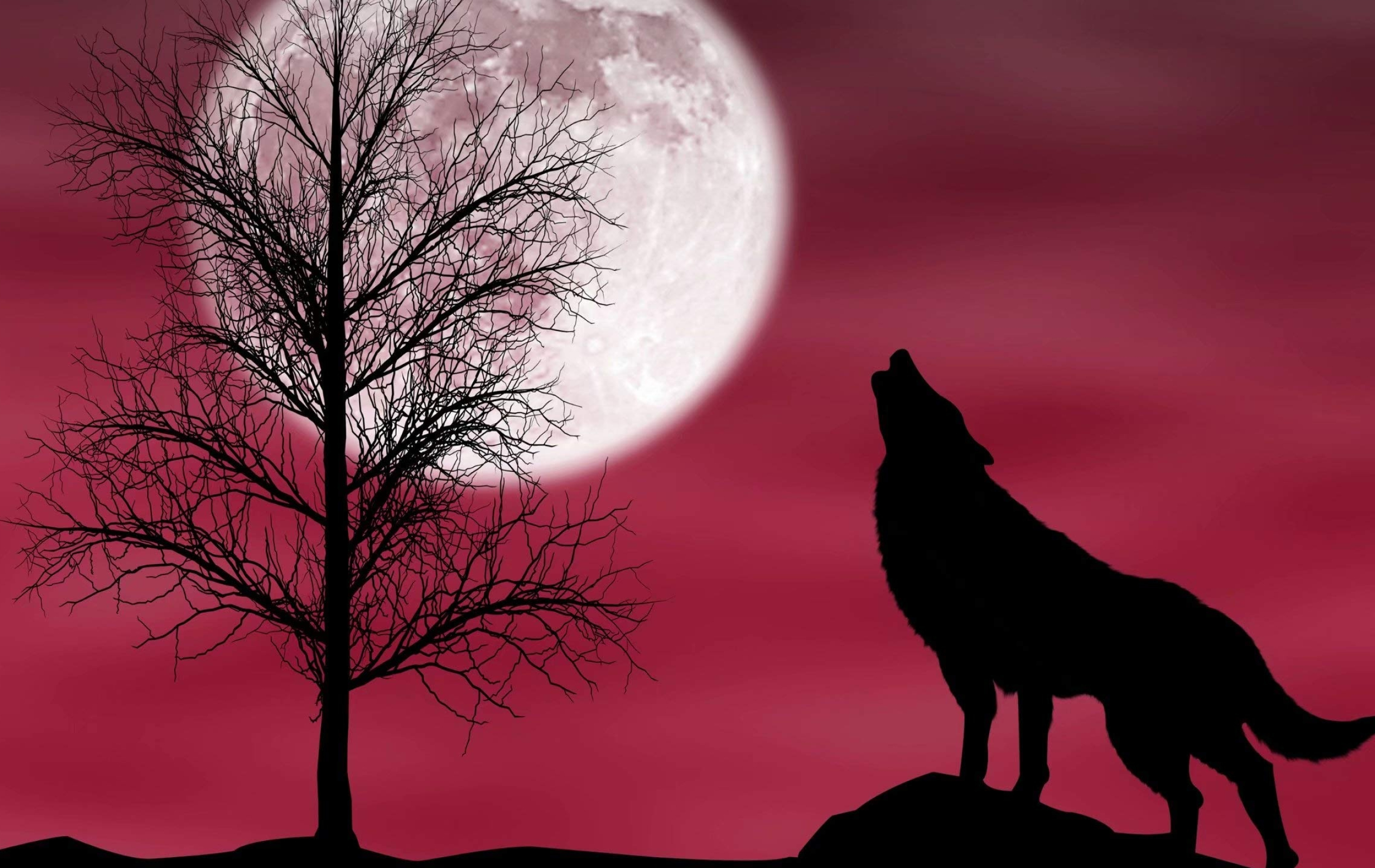 Wolf flag by the tree, Patriotic and majestic, Amazon. com, High-quality fabric, 2540x1600 HD Desktop