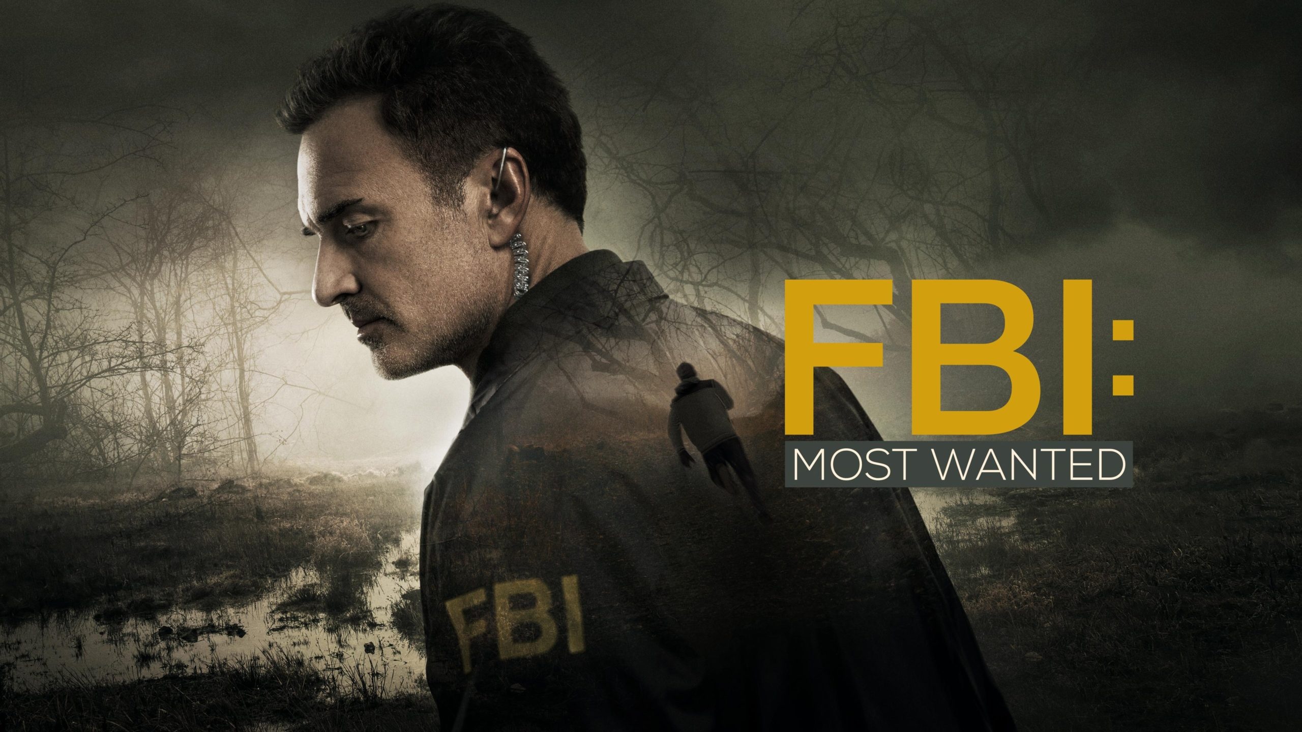 Julian McMahon, Leaving FBI Most Wanted, Season 3, Cast change, 2560x1440 HD Desktop