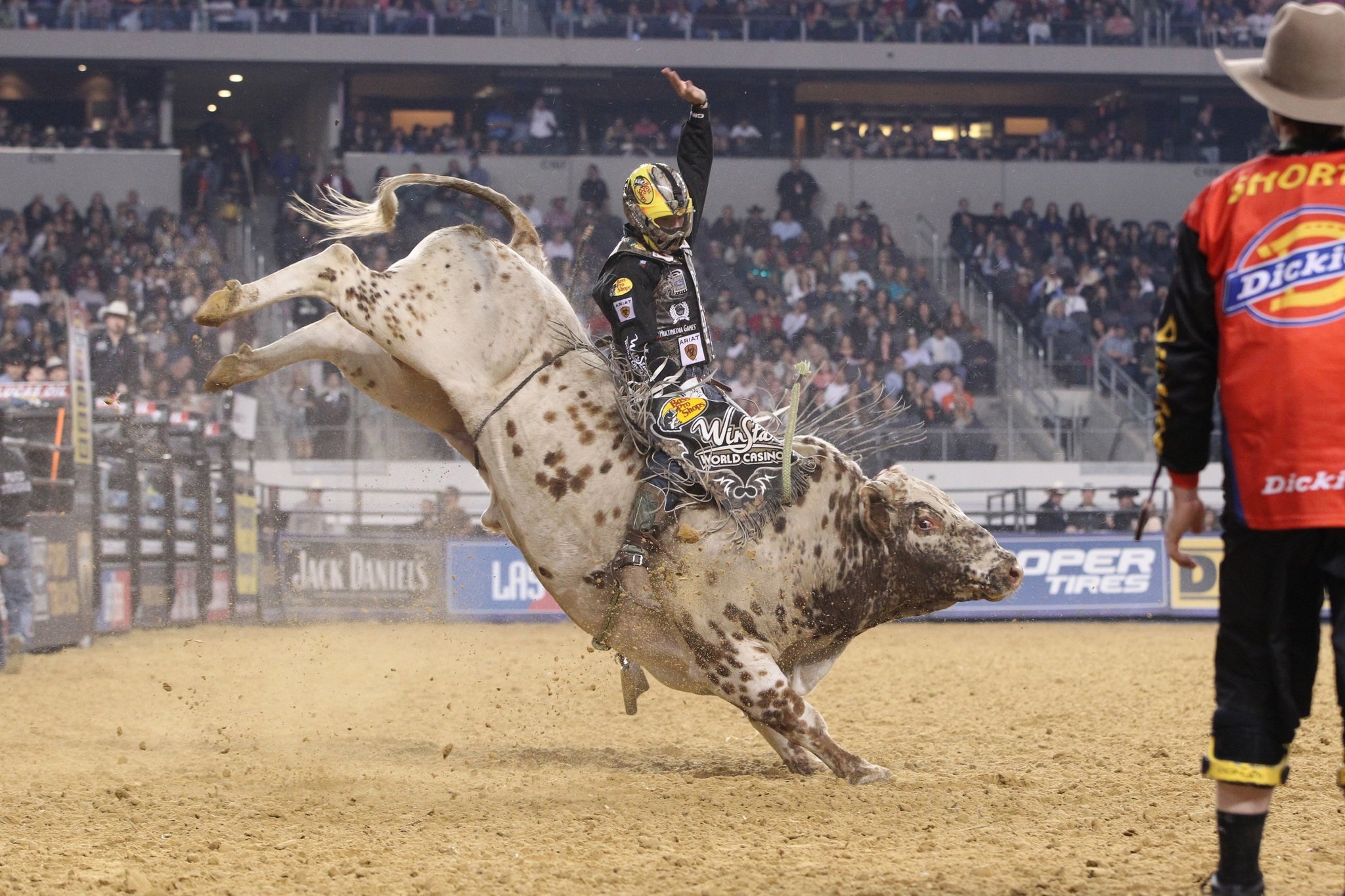Bullriding: Rodeo Bull, A rodeo event in which the contestant attempts to ride a bucking bull, Bullring. 2050x1370 HD Background.