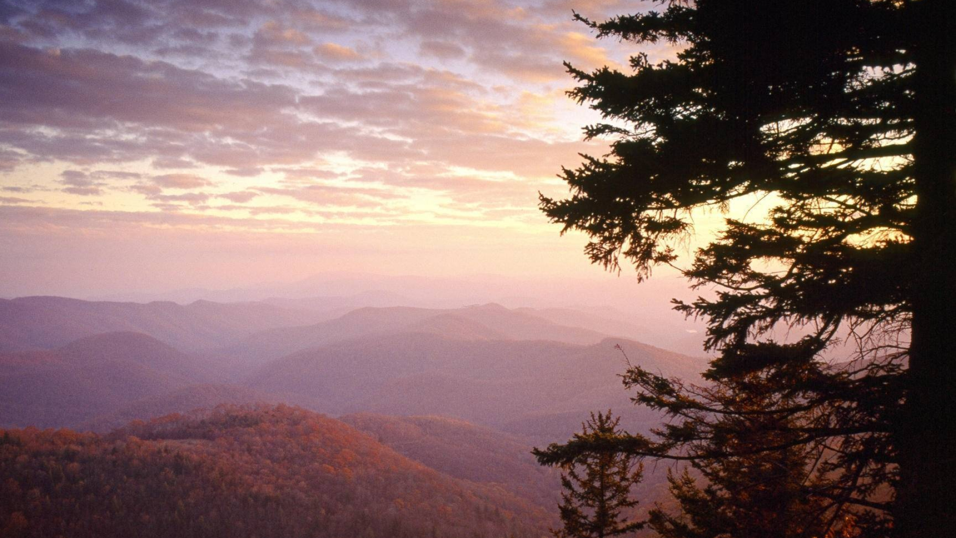 North Carolina: The Great Smoky Mountains National Park spans the border with Tennessee. 1920x1080 Full HD Wallpaper.