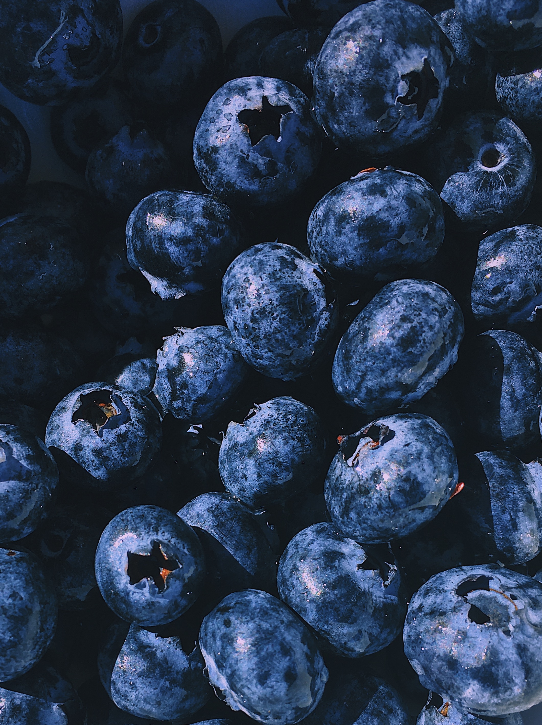 Best blueberry photos, Free stock images, Picture-perfect fruit, High-resolution download, 2130x2840 HD Phone