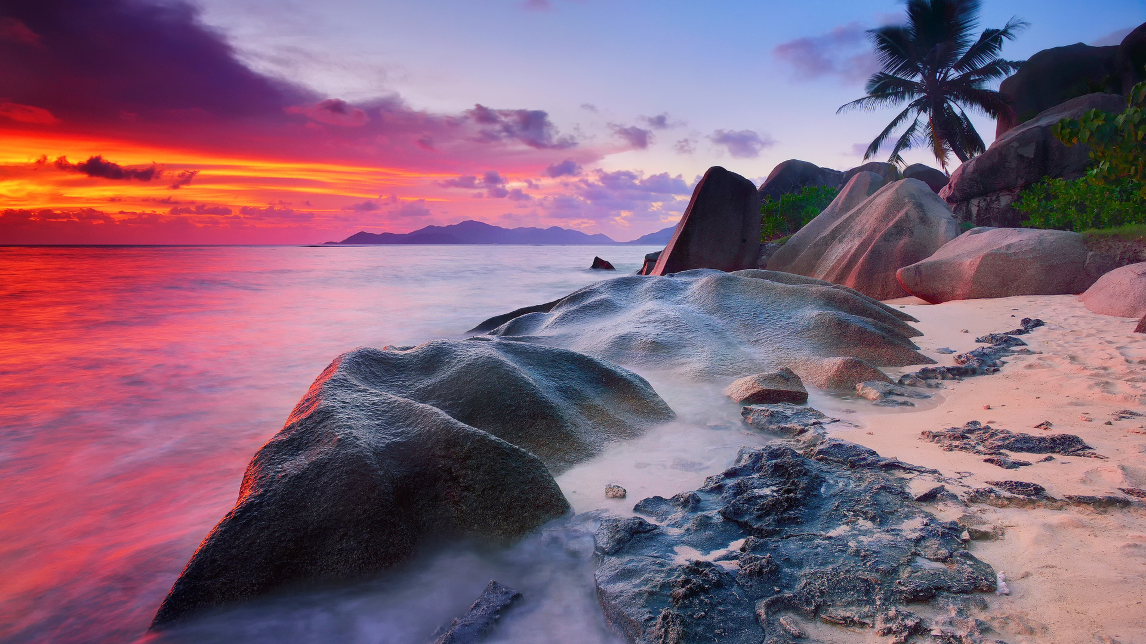 Micro photography, Seychelles, 3840x2160 4K Desktop