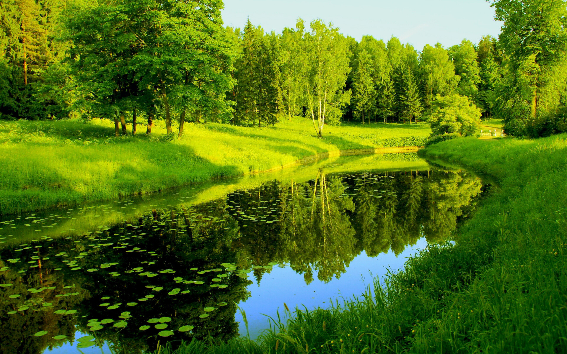 River: Nature, Trees, The movement of water in a waterway is called a current. 1920x1200 HD Wallpaper.