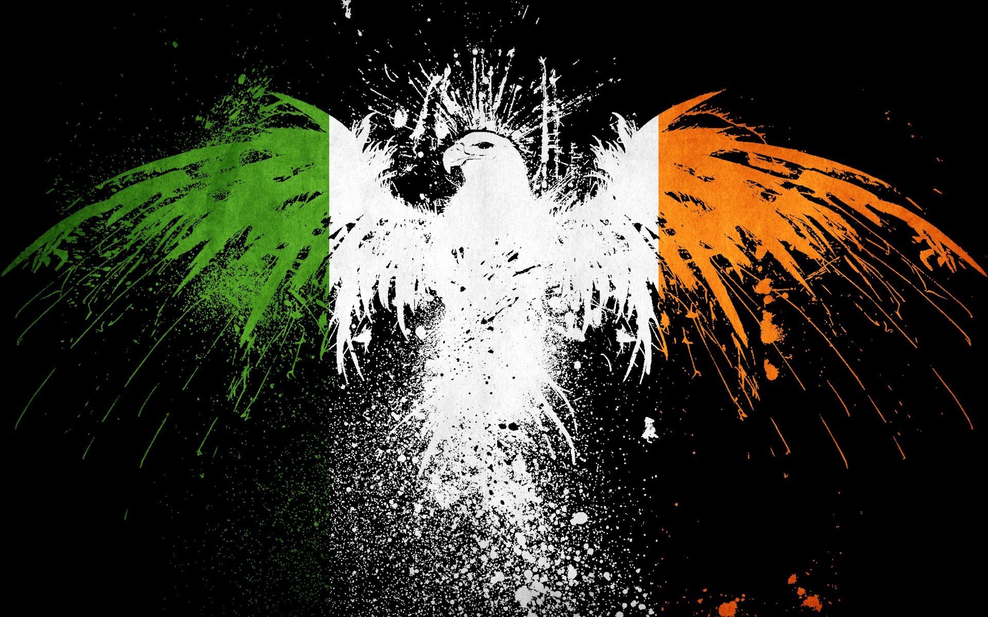 Flag of Ireland, Irish pride, Celebrating heritage, National symbol, 1920x1200 HD Desktop
