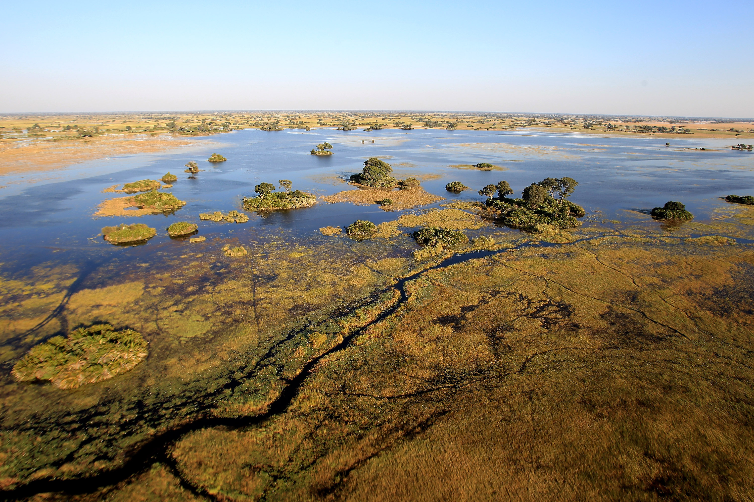 Jährliche Wiedergeburt des Okavango Deltas, 3000x2000 HD Desktop