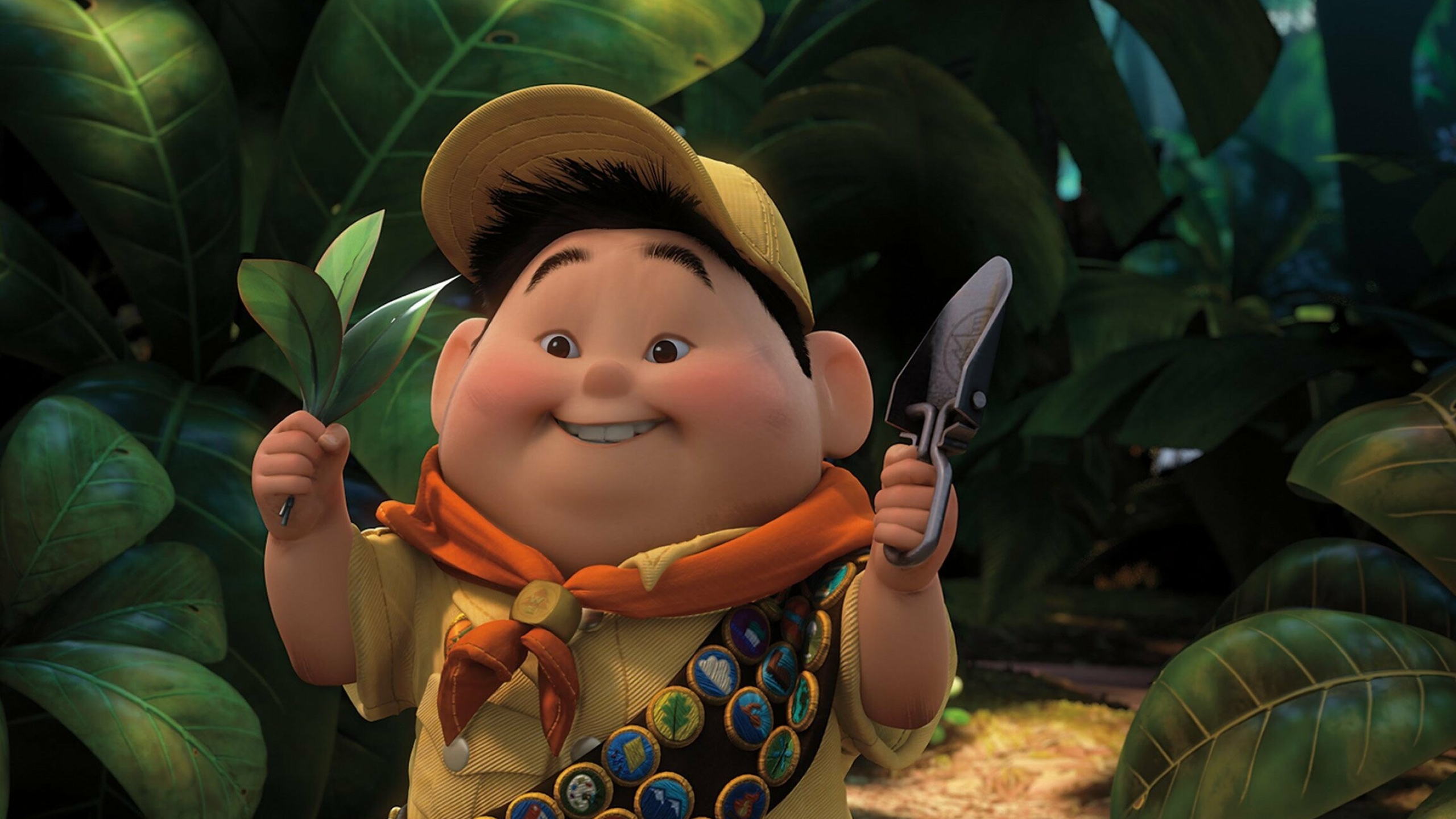 Up (Cartoon): Russell, A Wilderness Explorer who goes on a journey to South America. 2560x1440 HD Background.