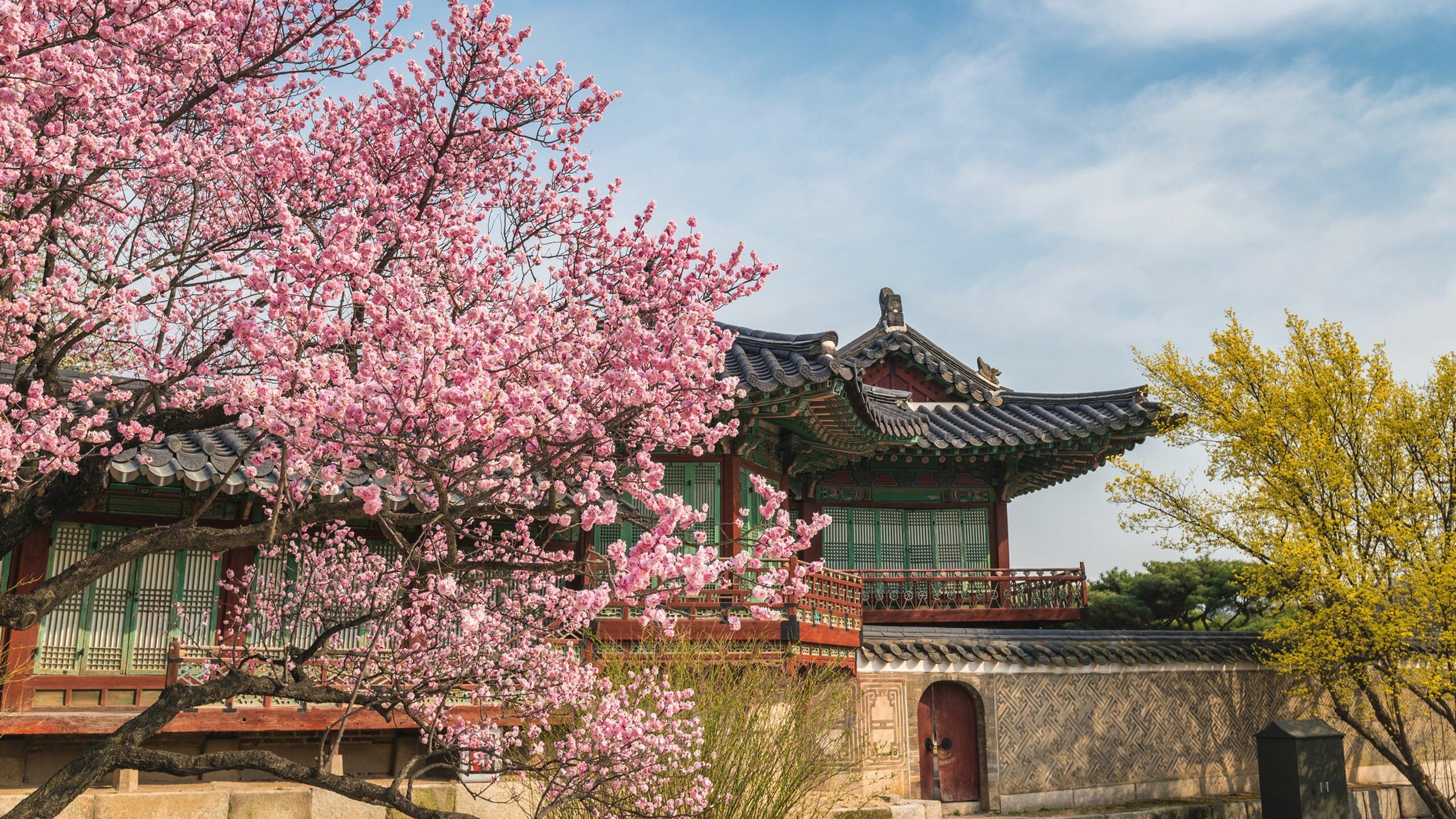 Korea: Aesthetic, Seoul, Temple, Changdeokgung. 2560x1440 HD Background.