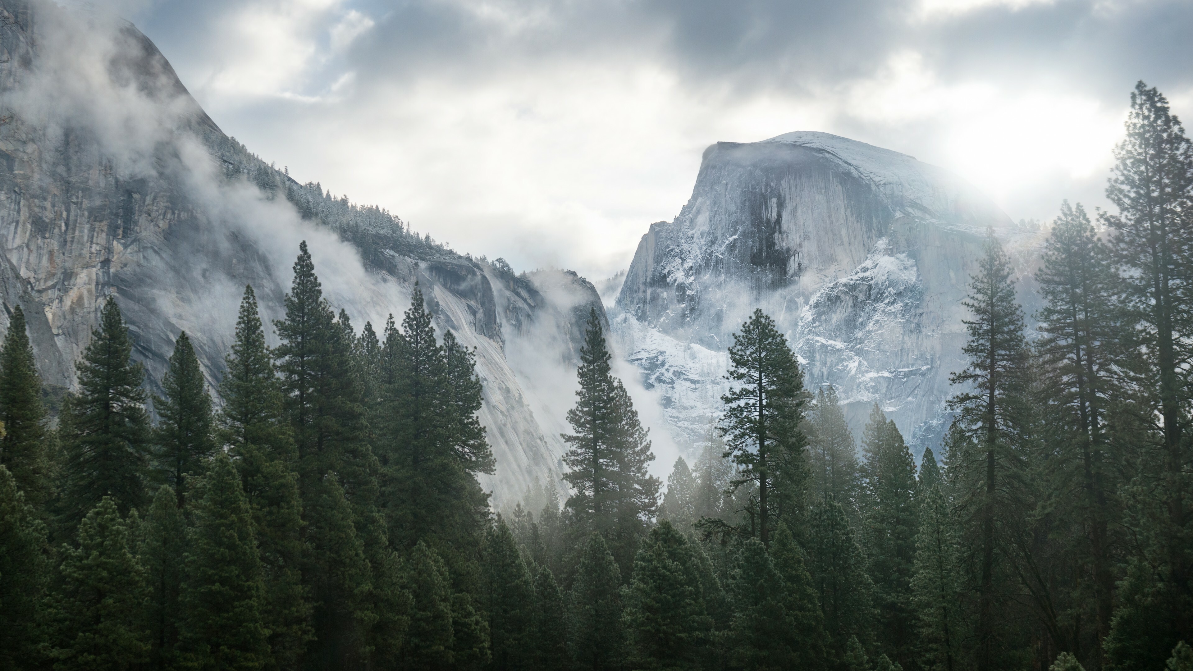 Forest: Yosemite, Mountains, Nature, An area of land dominated by trees. 3840x2160 4K Wallpaper.